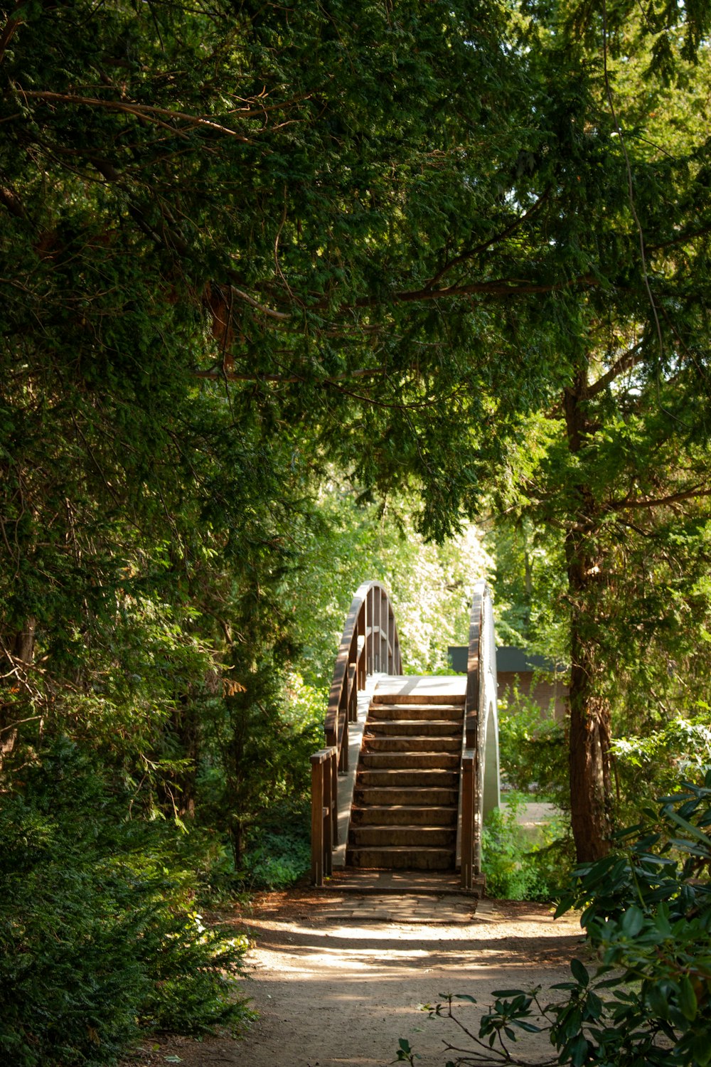 a wooden staircase in a forest