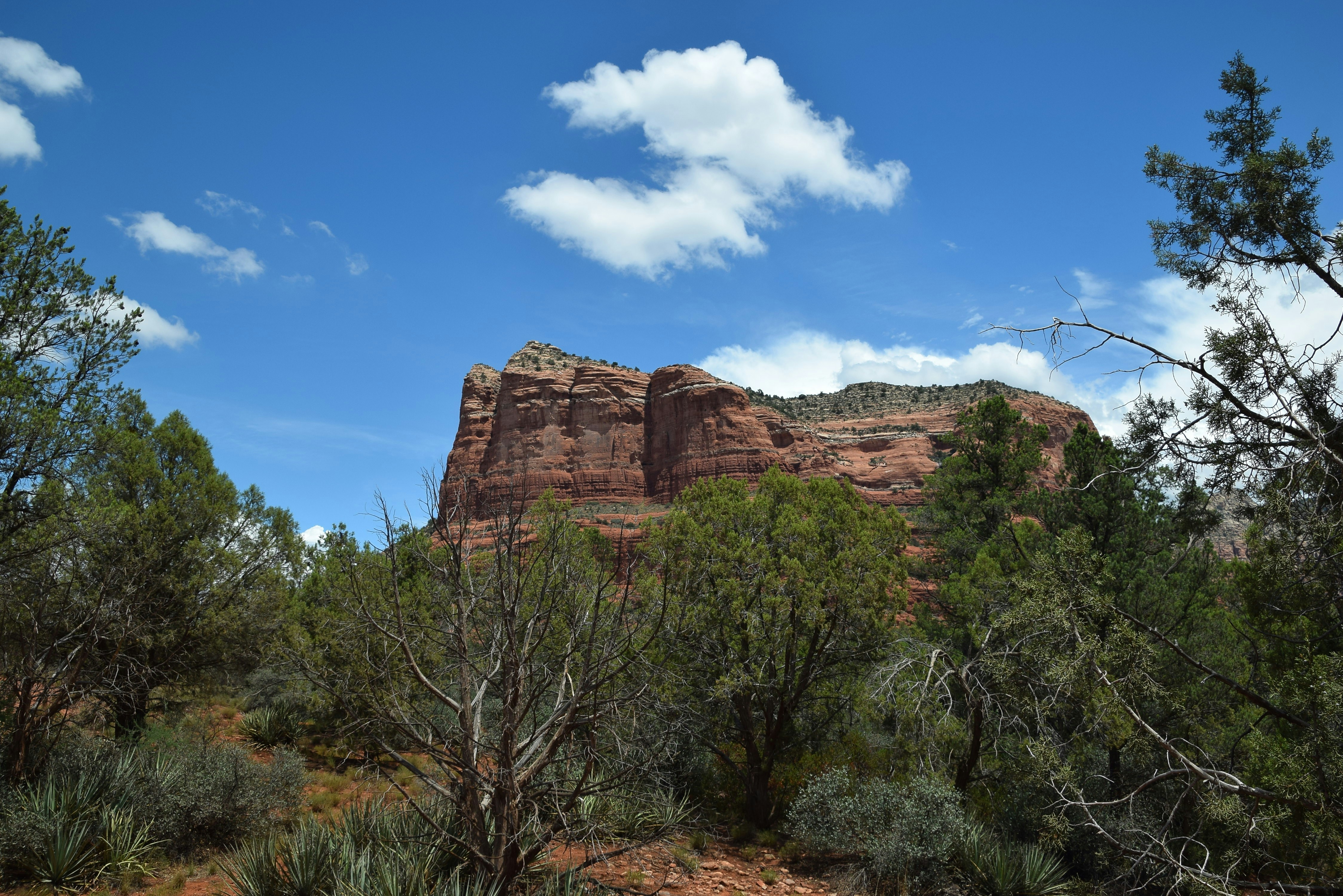 a rocky mountain with trees and bushes