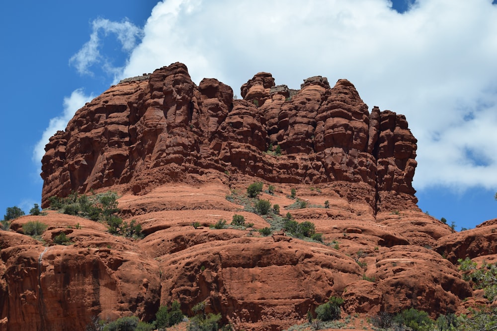 a rocky mountain with trees