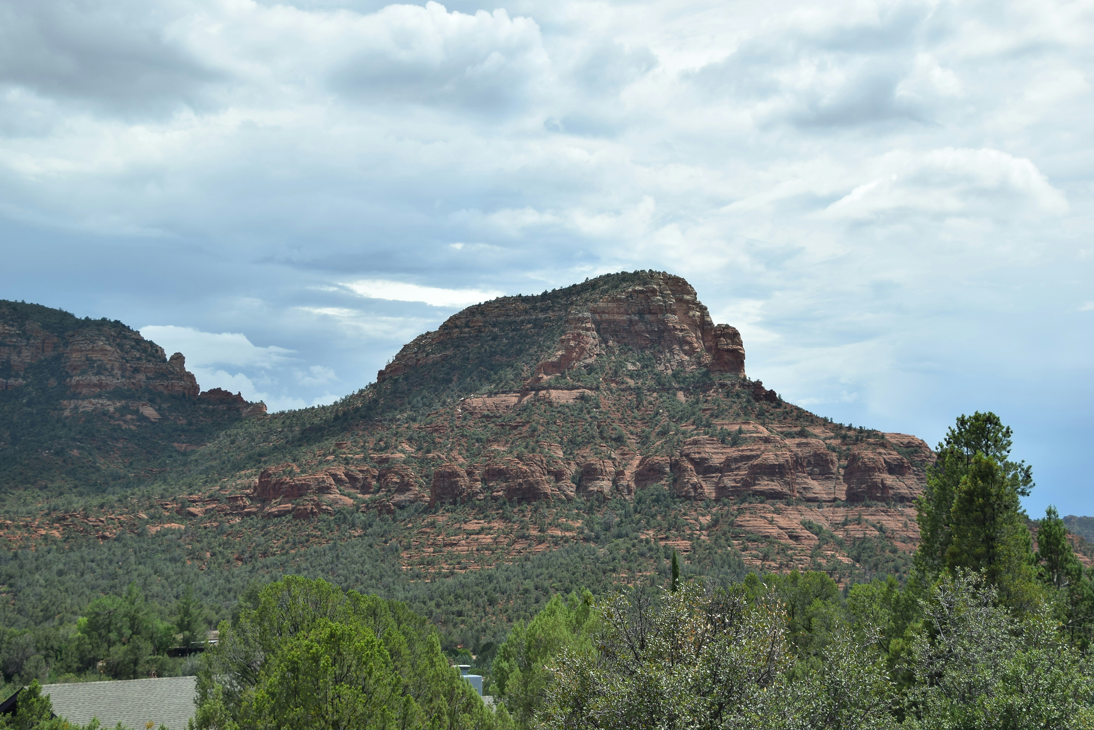a rocky mountain with trees