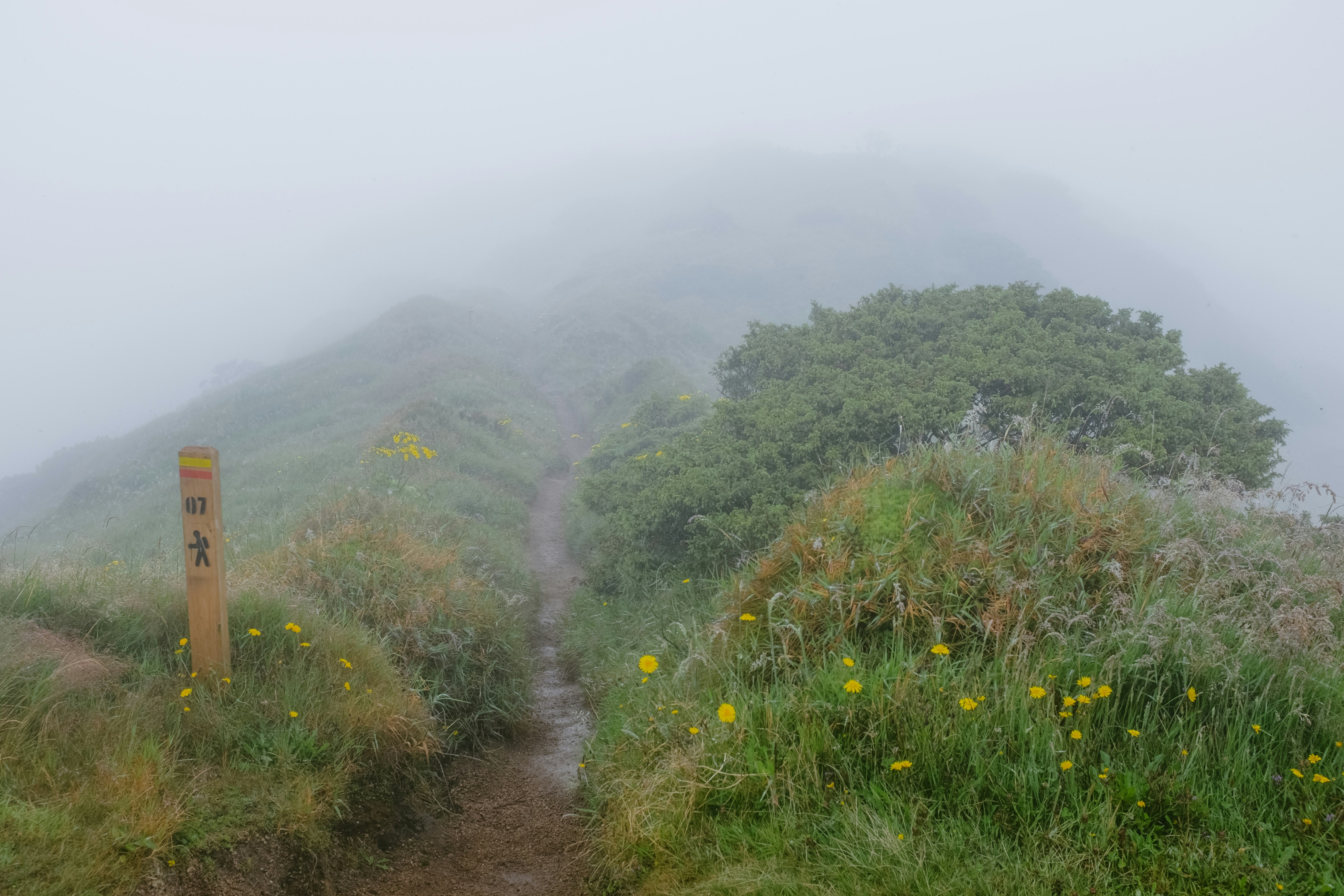 Photo by reireistagram