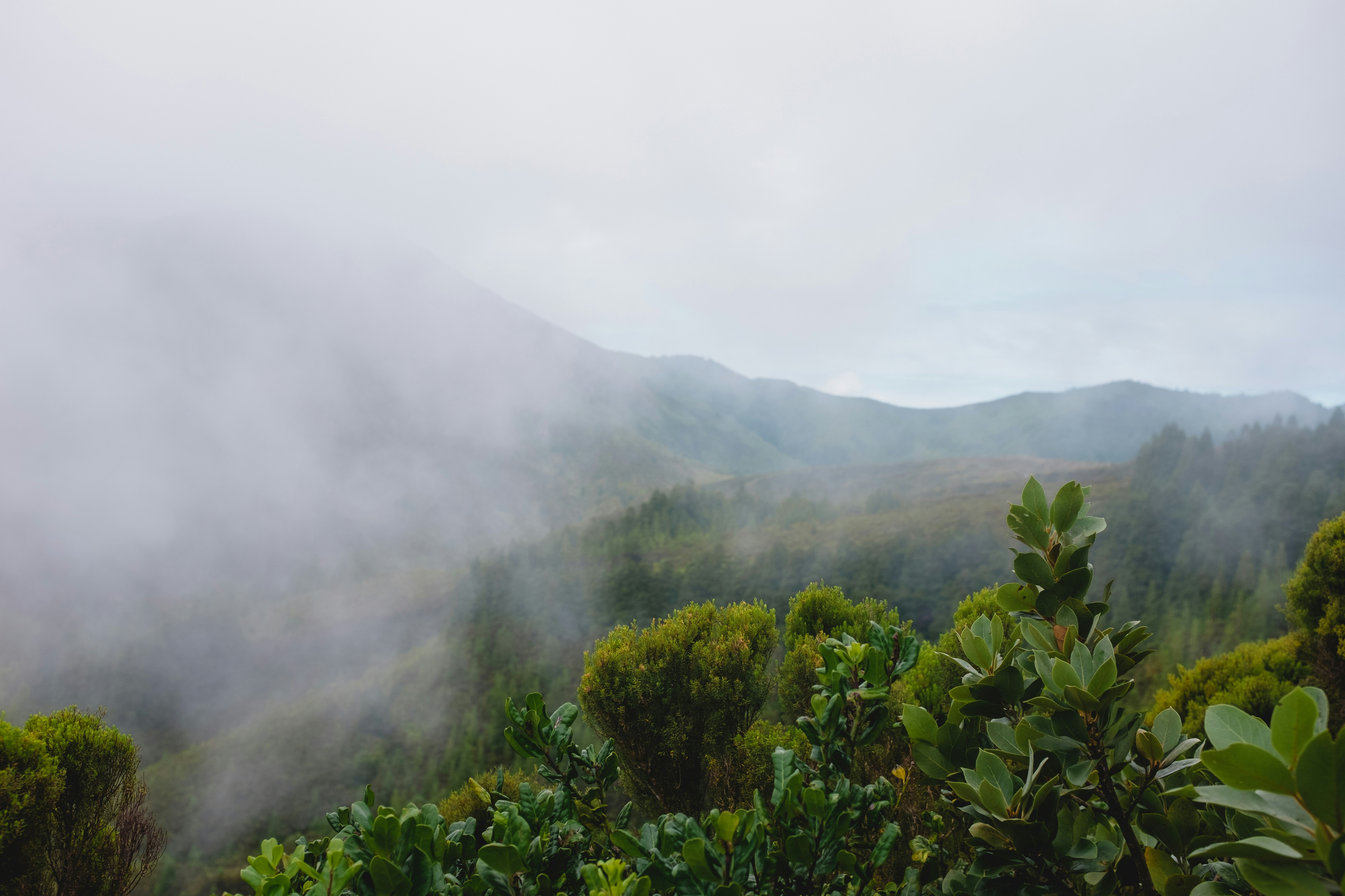 Photo by reireistagram