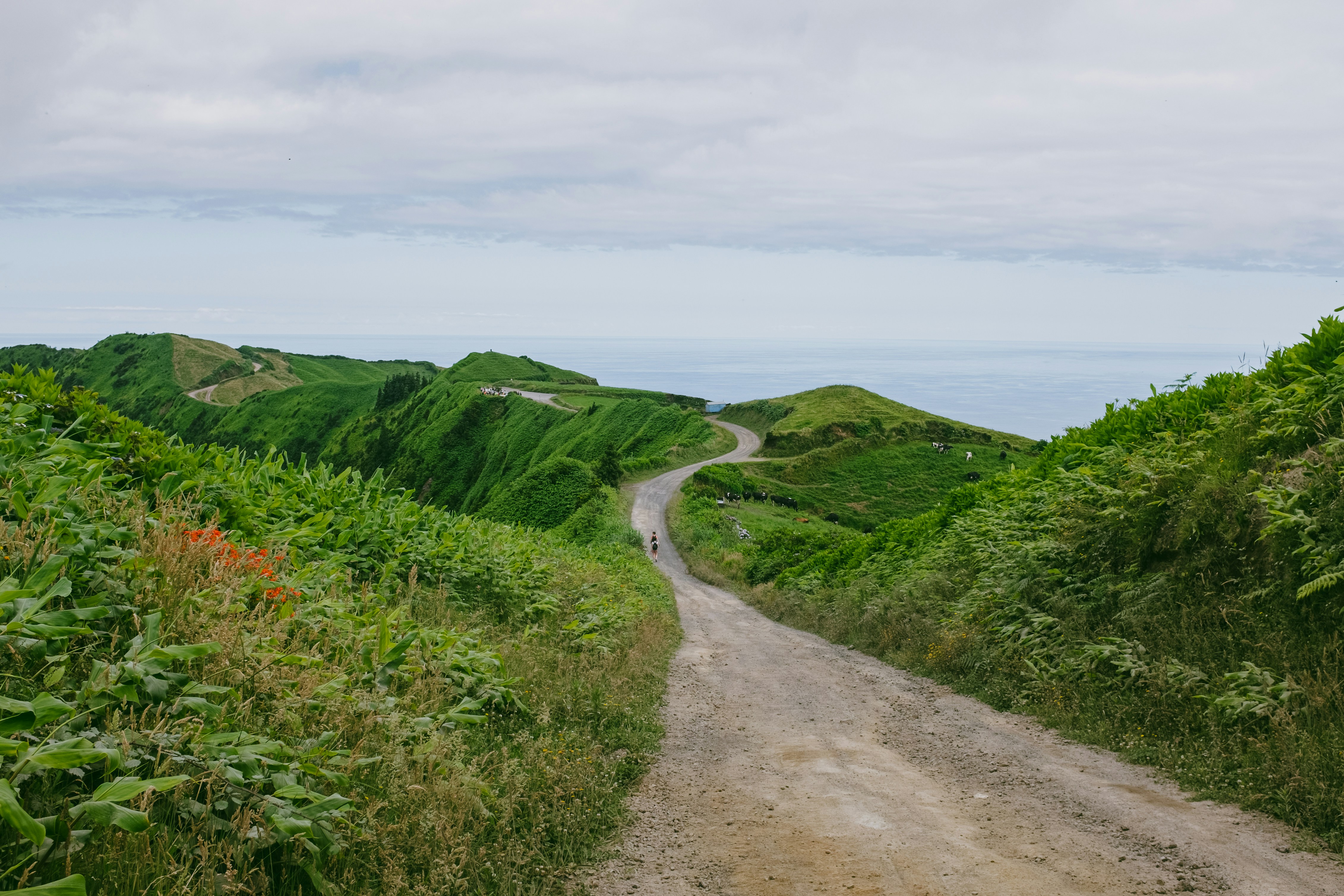 Photo by reireistagram