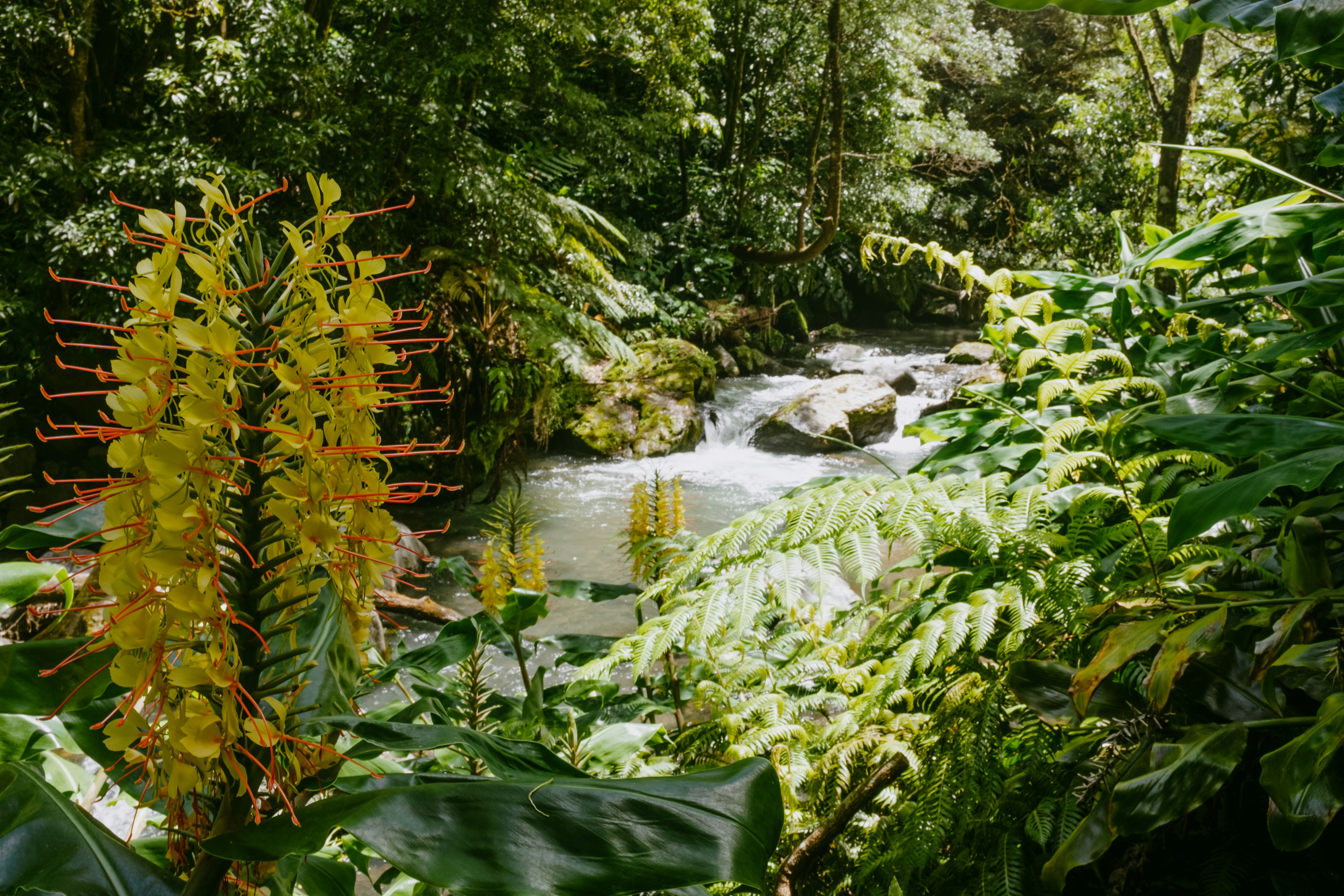 Photo by reireistagram