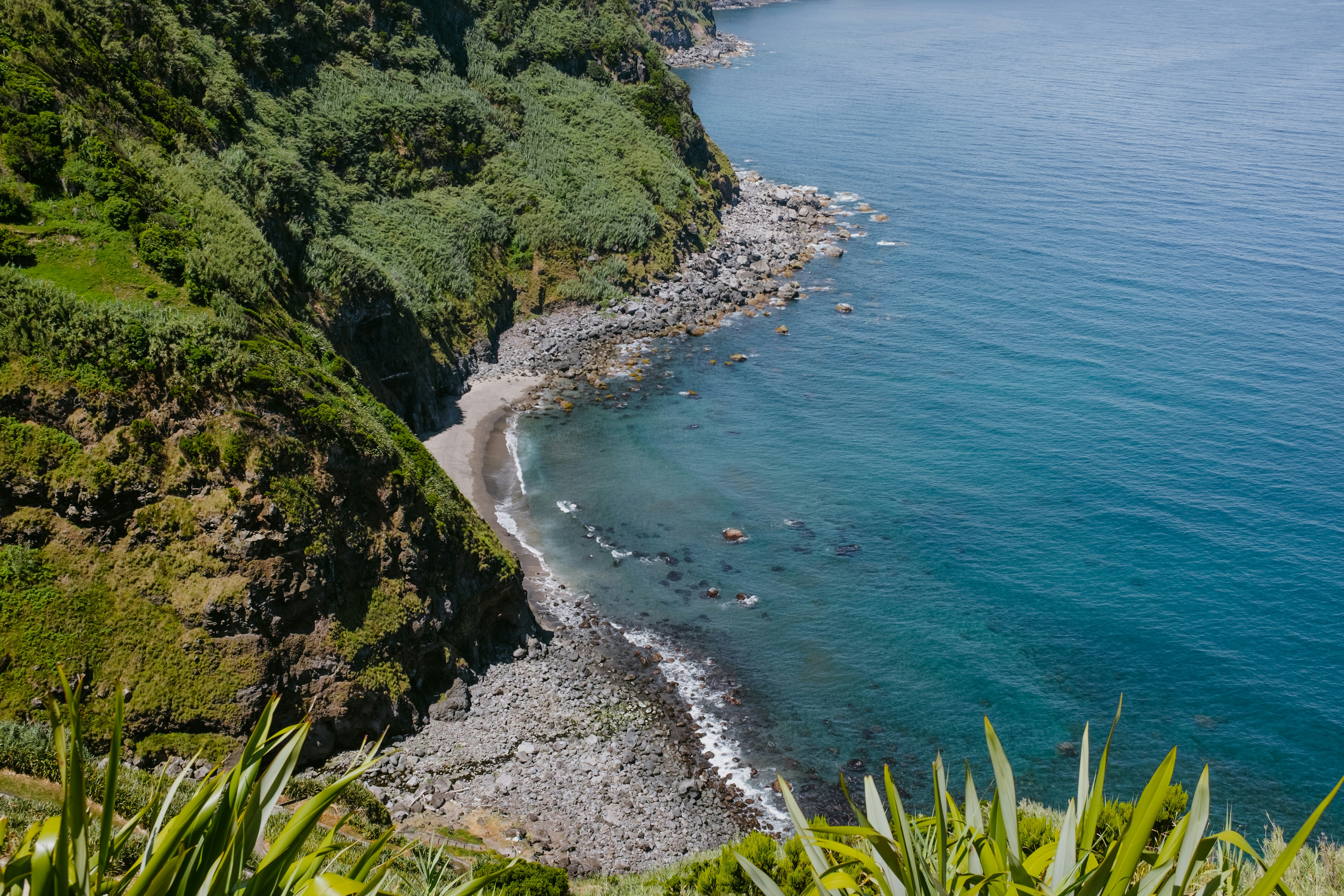 a beach with trees and bushes, 