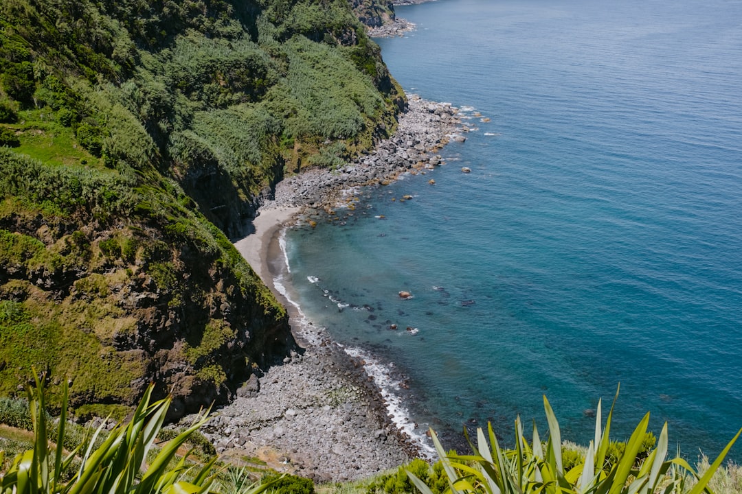 a beach with trees and bushes,