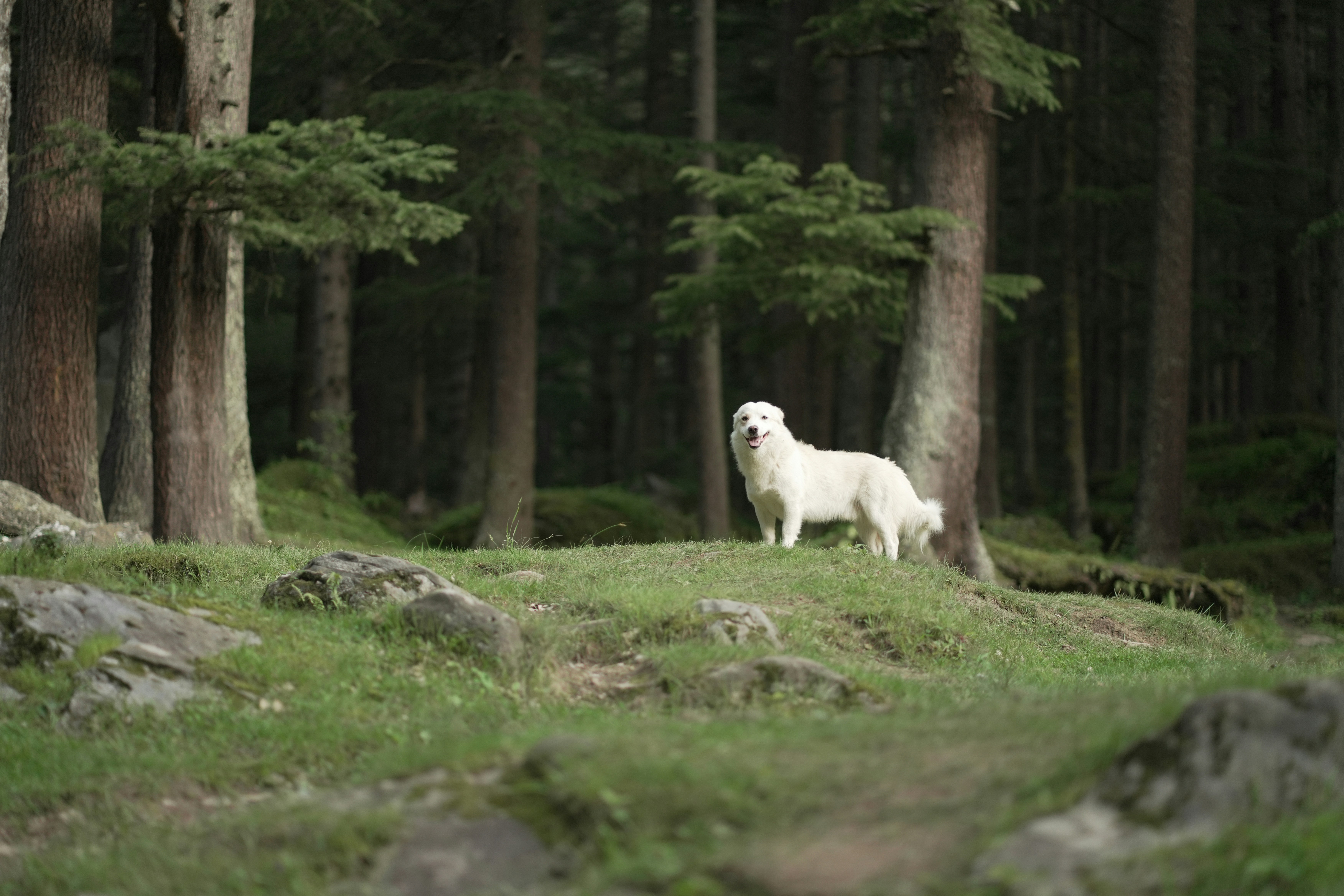 Photo by photogramystudio