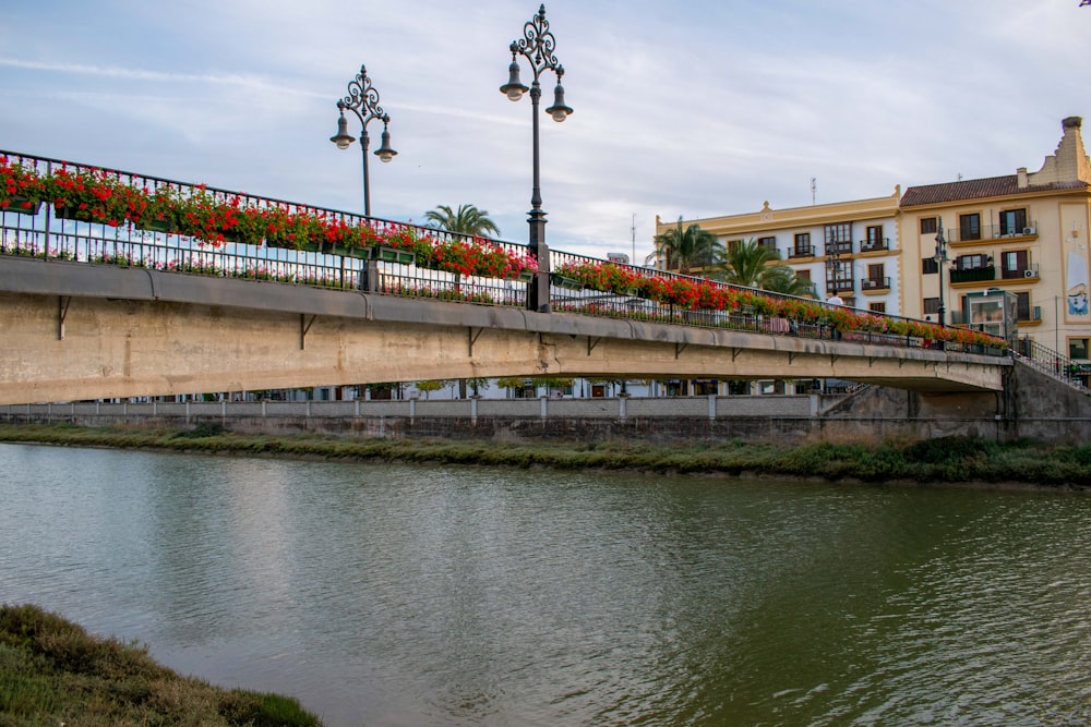 a bridge over a river