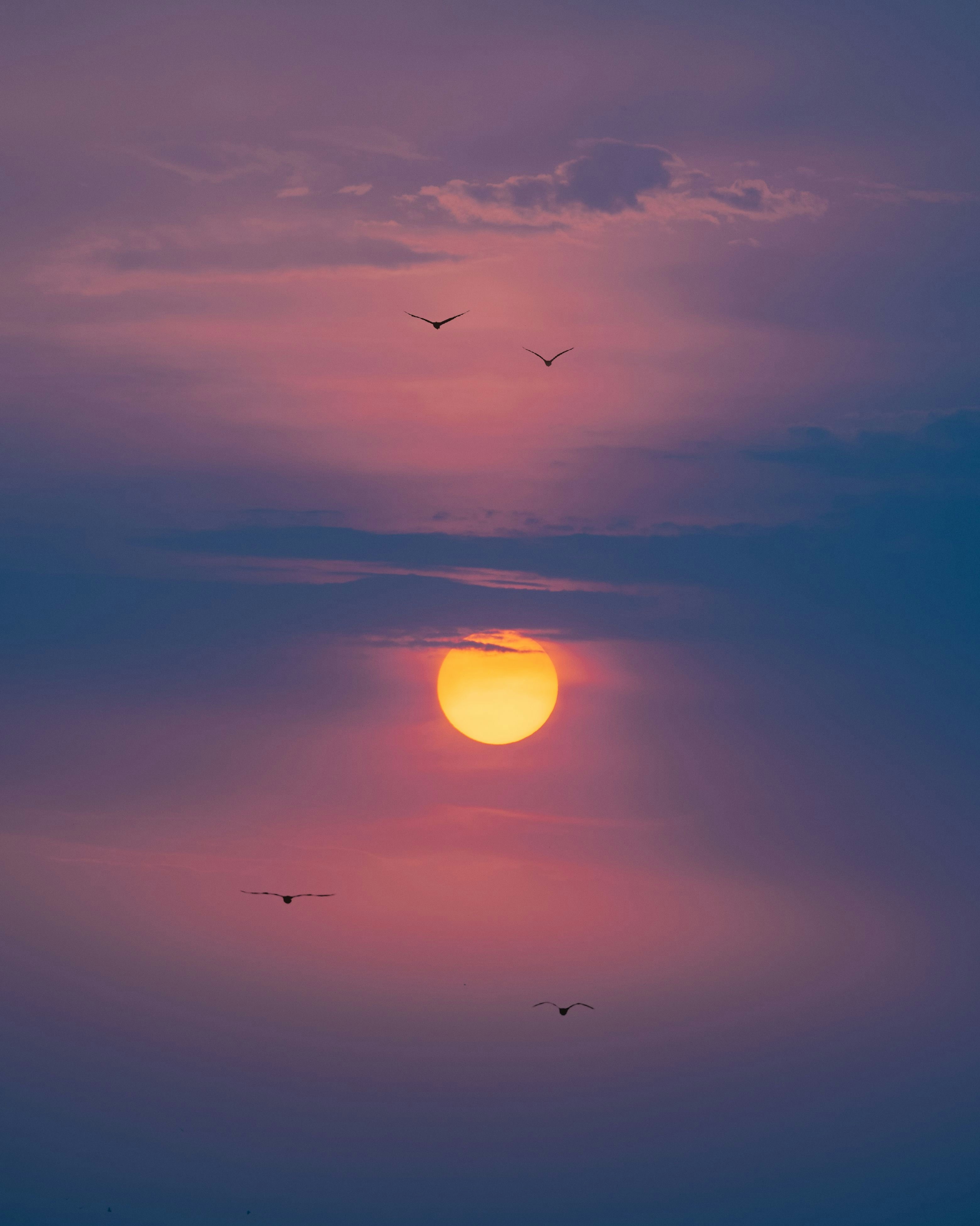 Photo by pramodtiwari