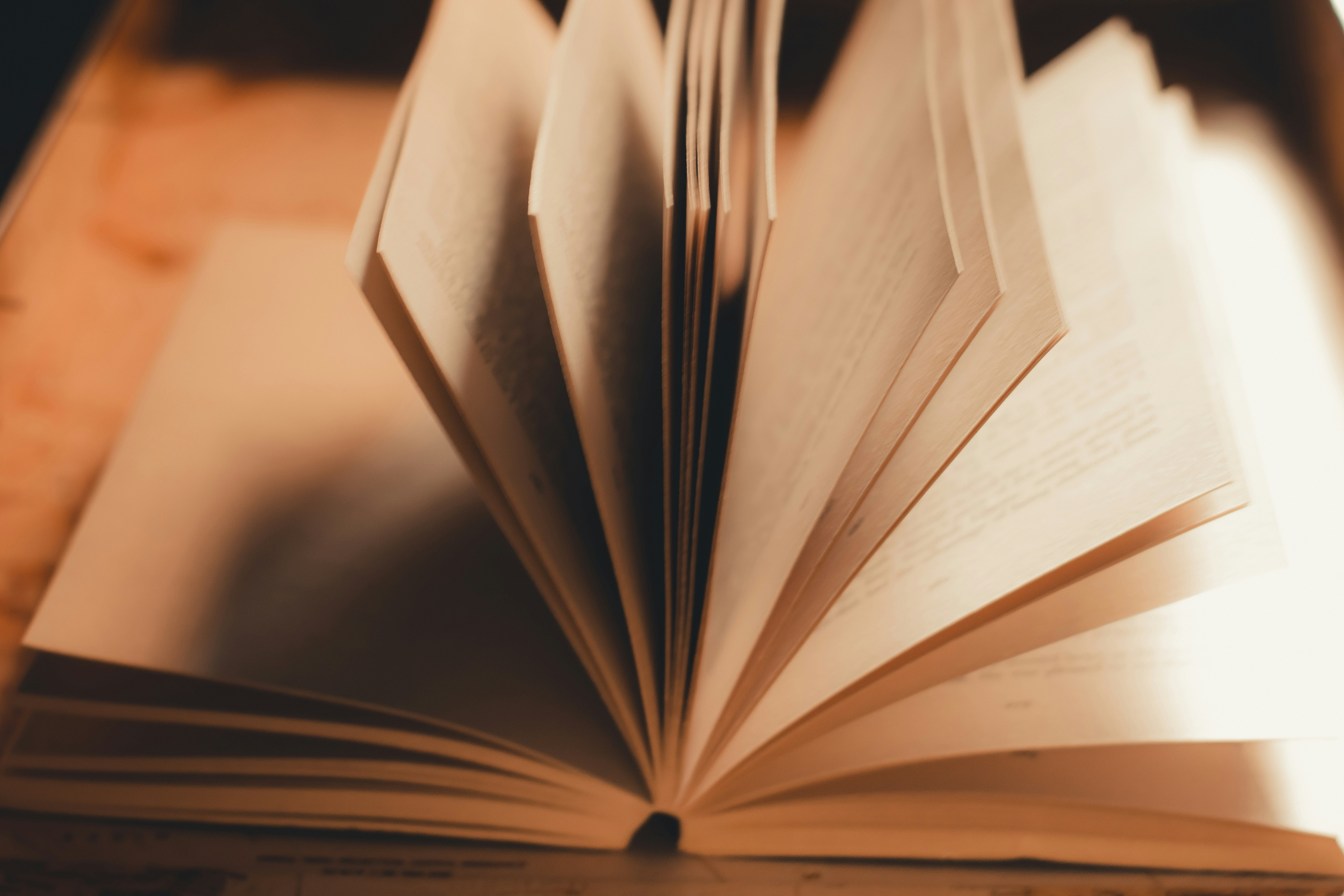 Photo by pramodtiwari