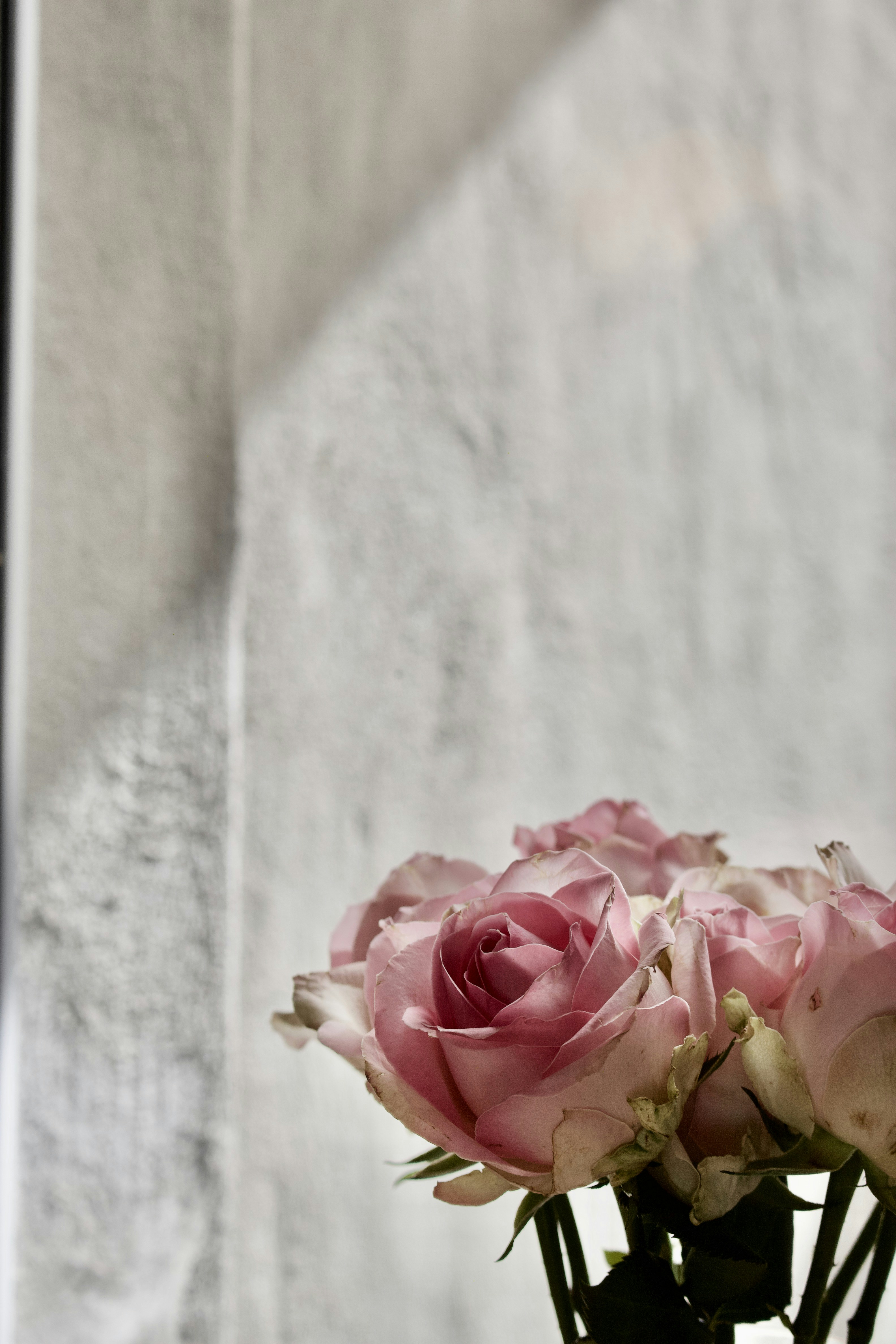 Photo by kamillaisalieva