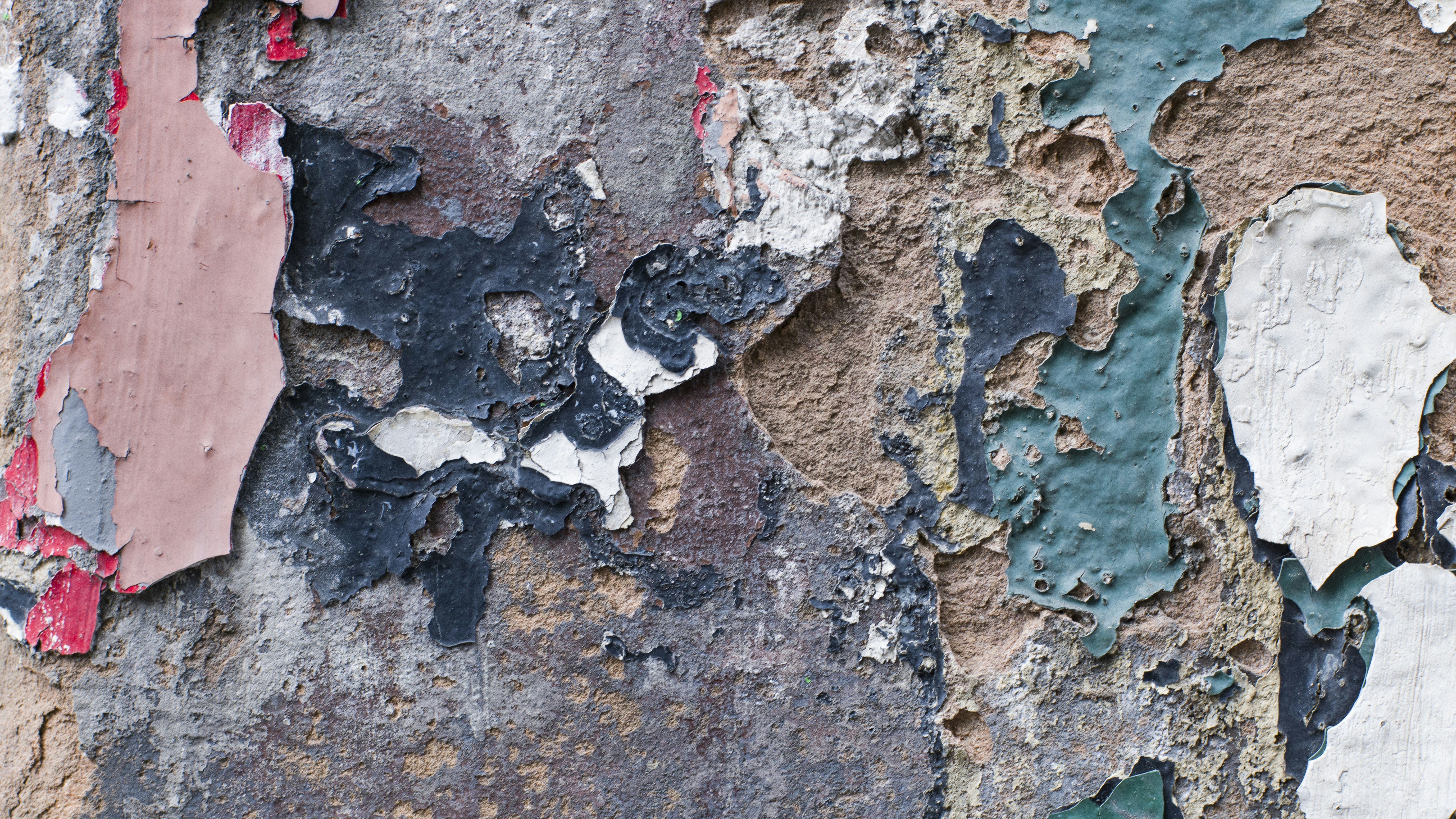 Photo by rhubbardstockfootage