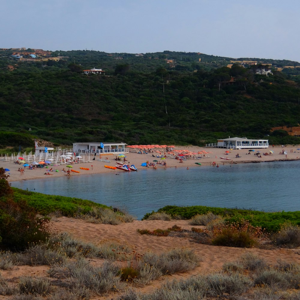 a beach with many people on it