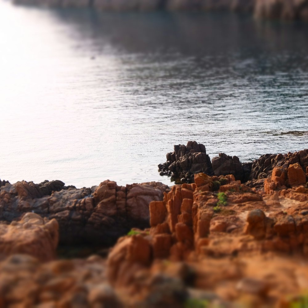 a rocky beach with a body of water in the background