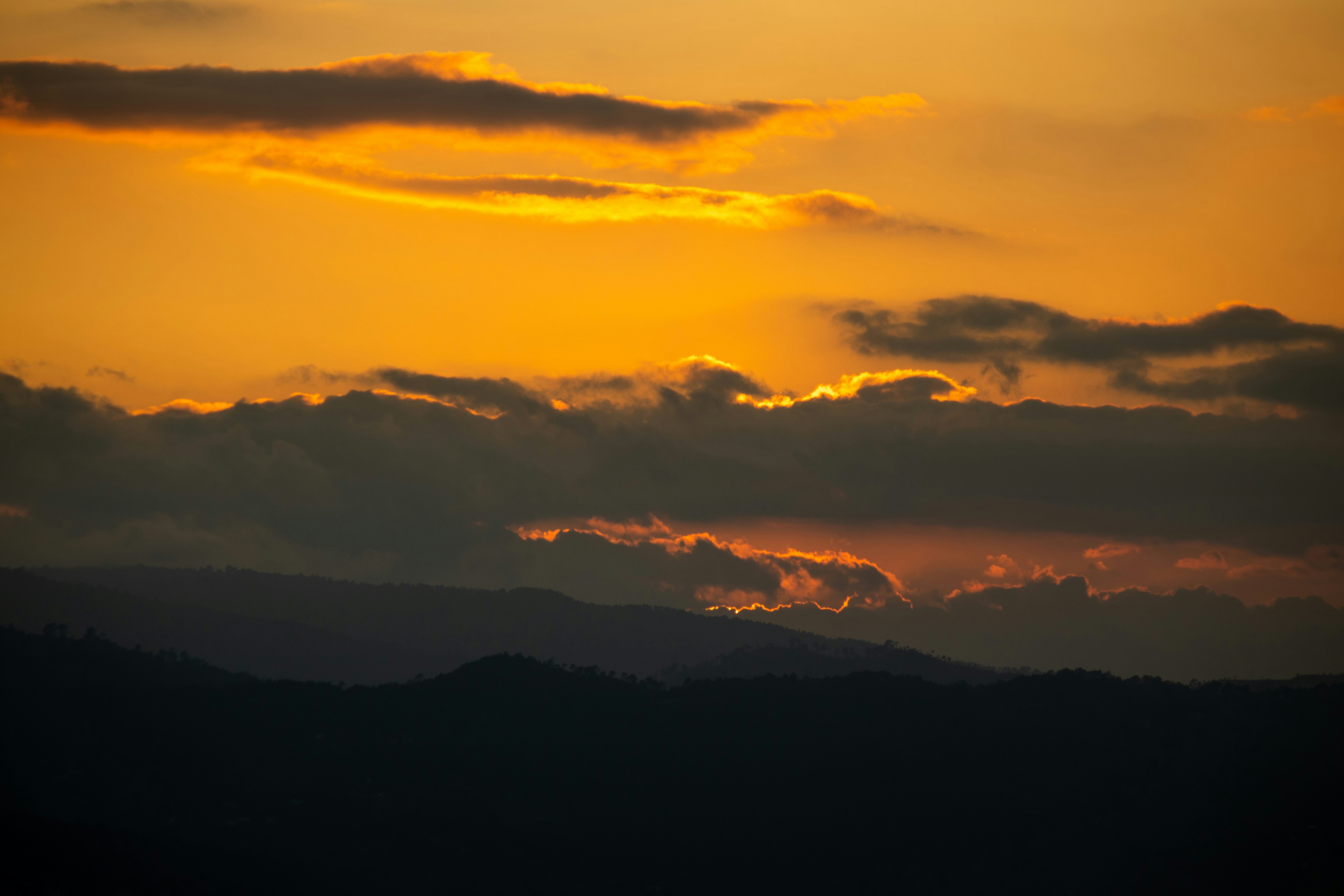 Photo by miheertewari