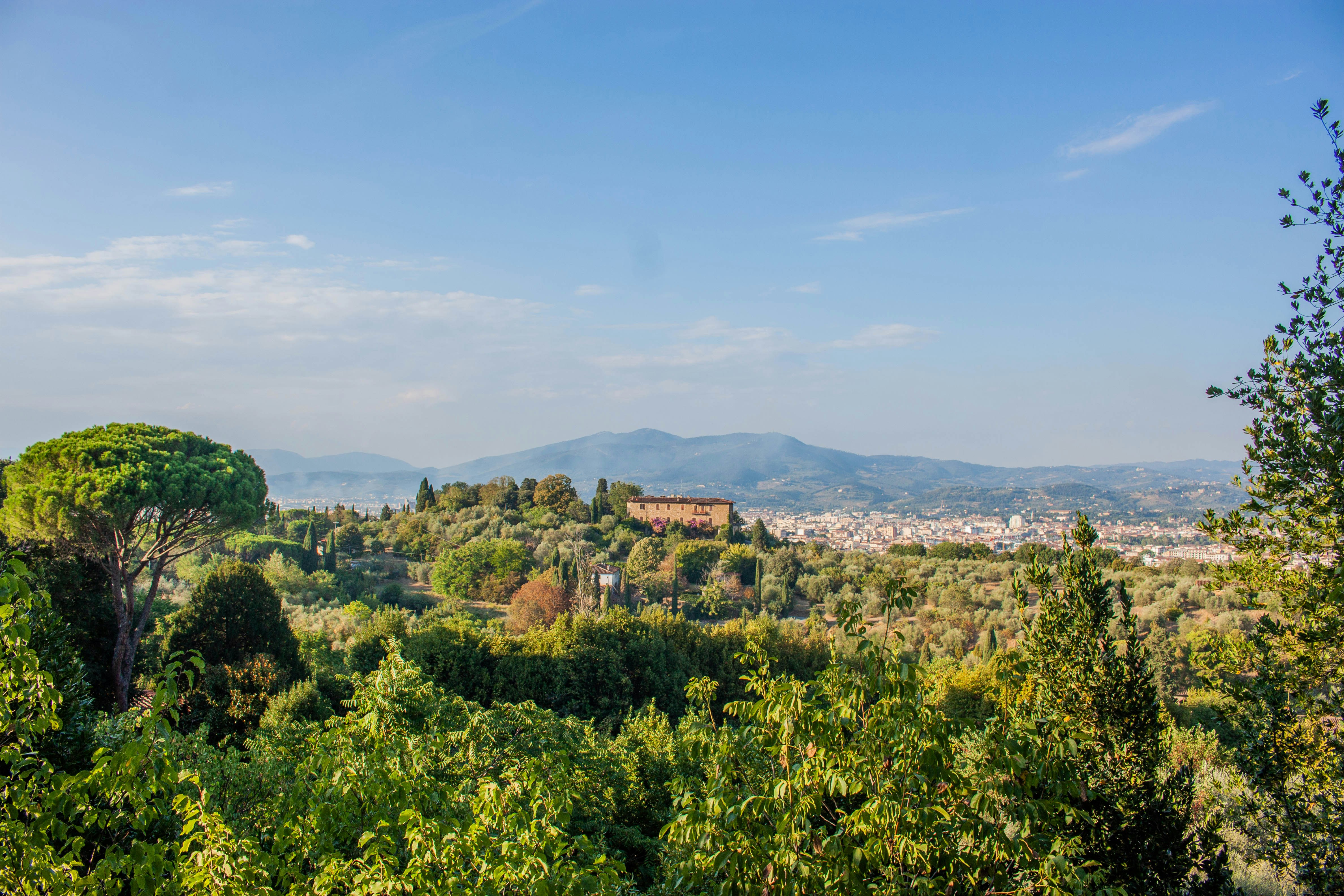 Photo by kamillaisalieva