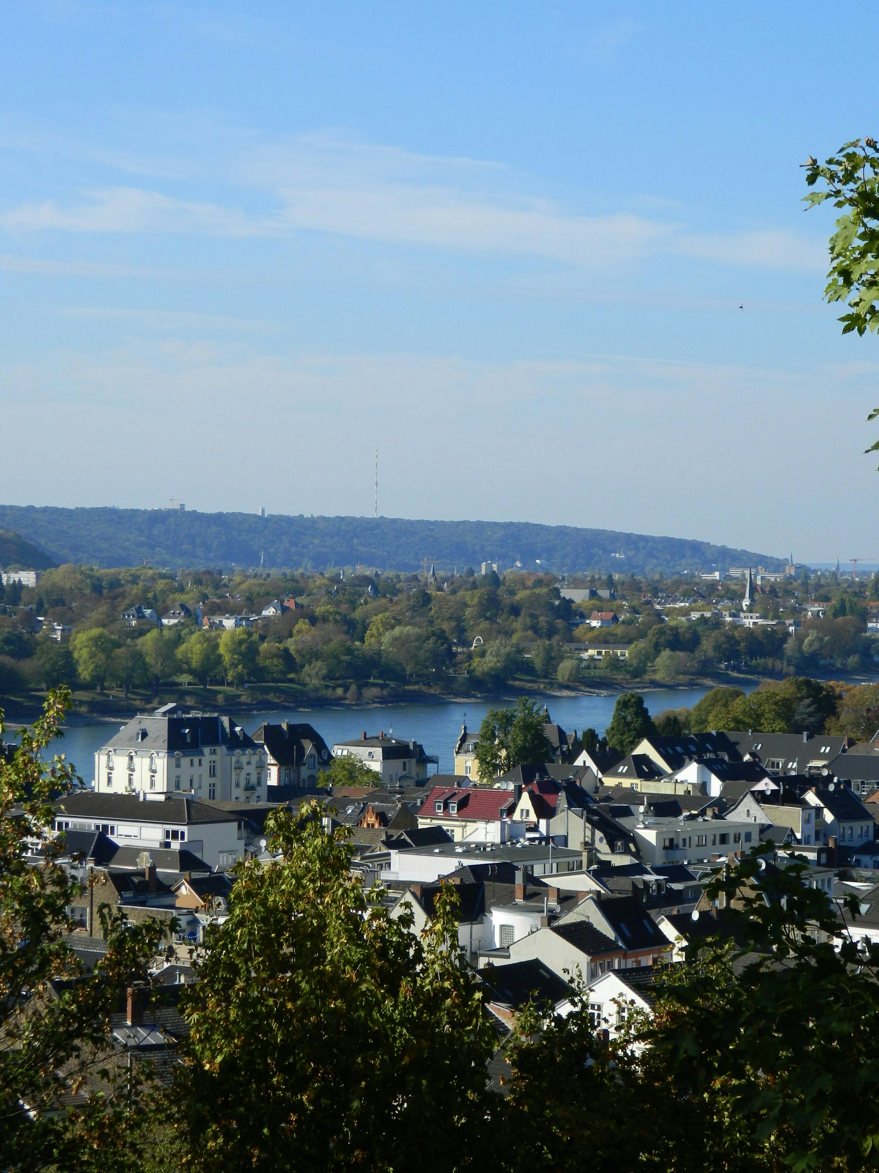 Photo by ezgideliklitas