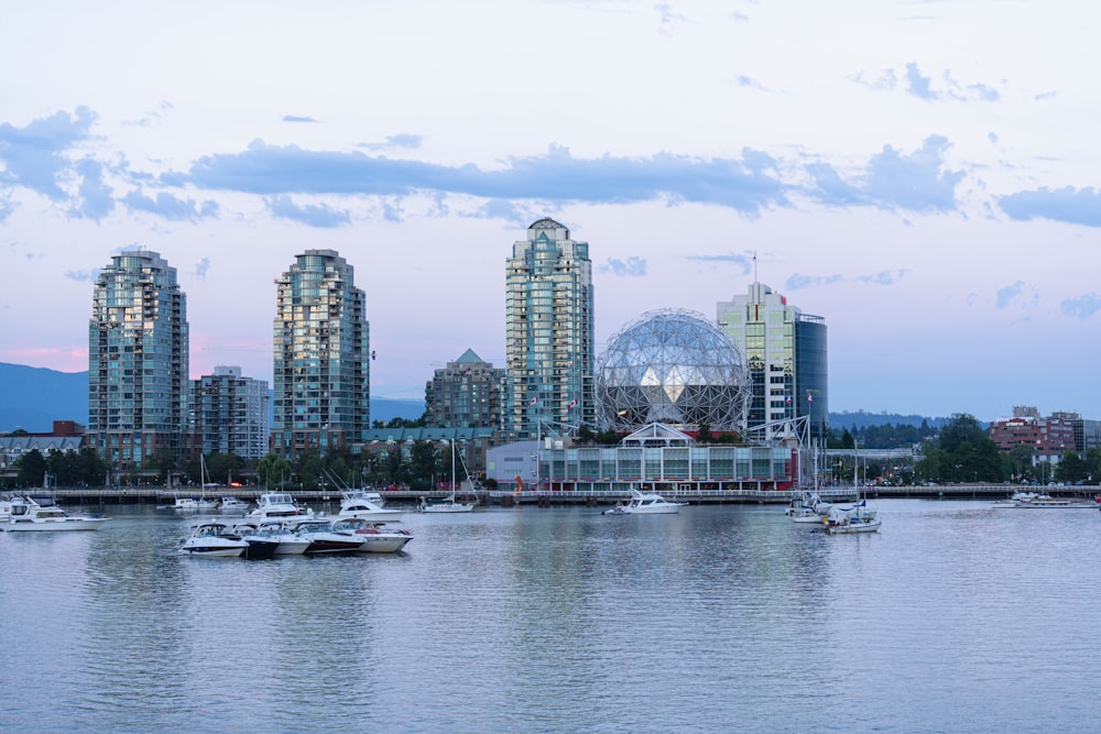 a city skyline with boats