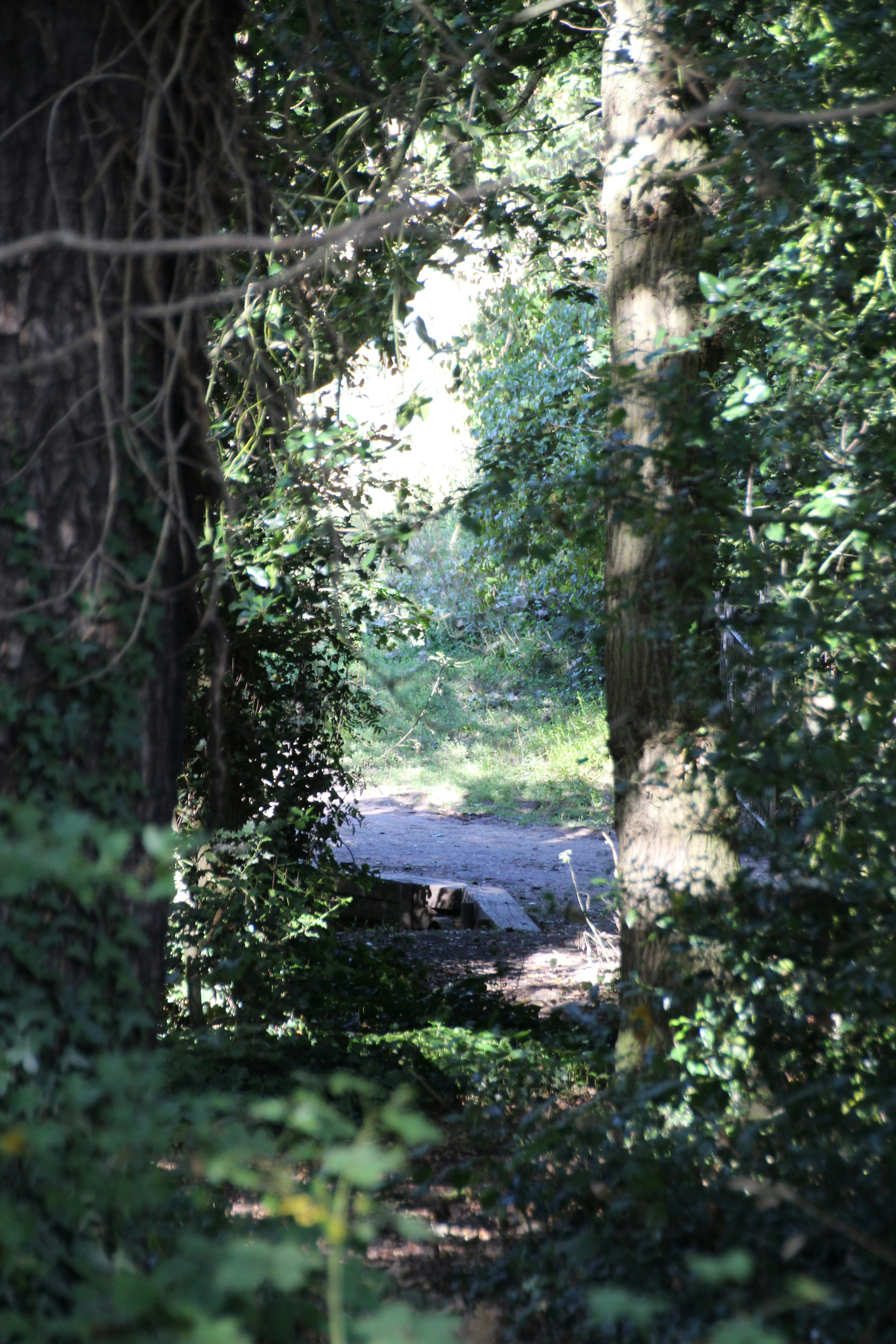 Photo by jackcalverley