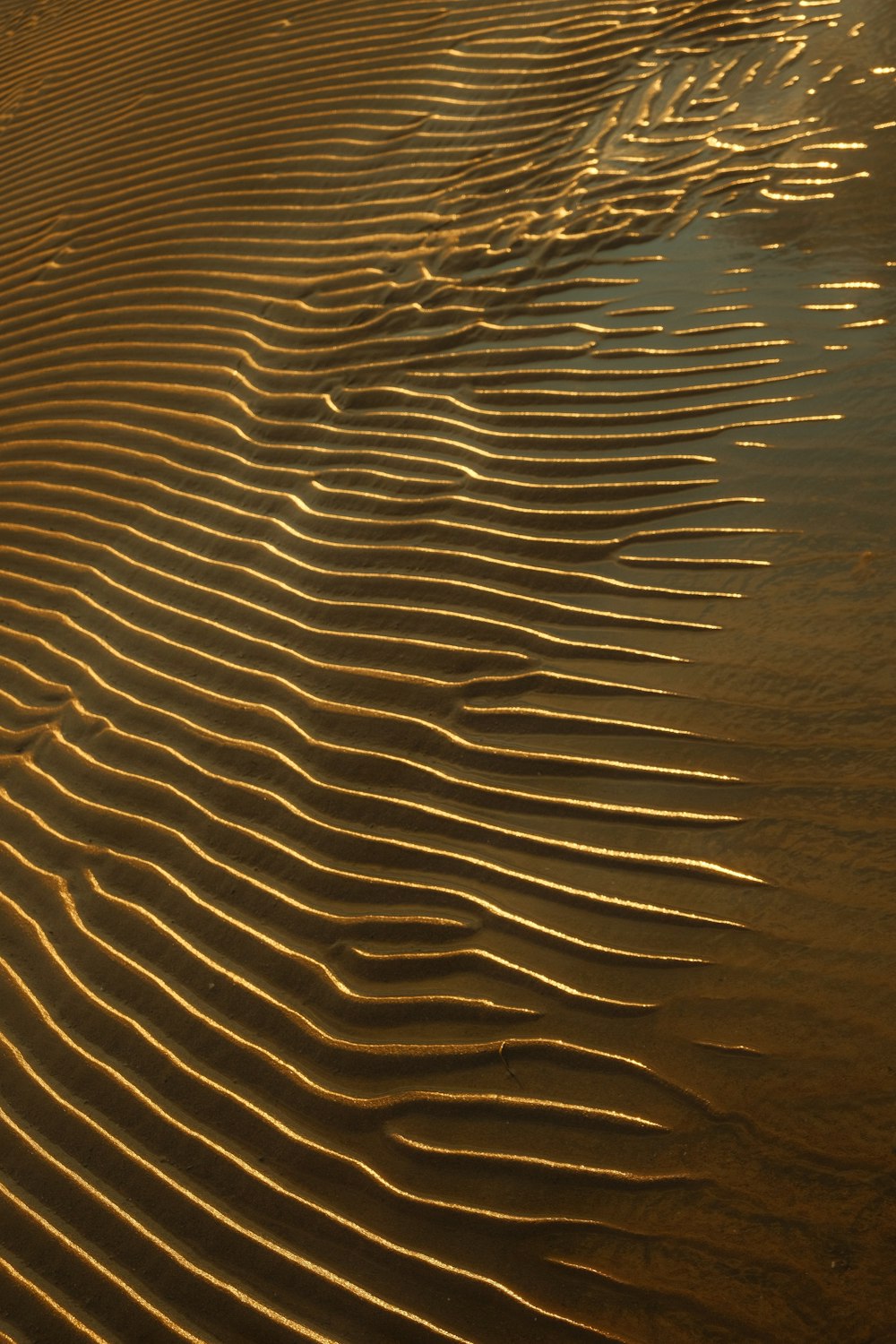 a close up of a wood surface