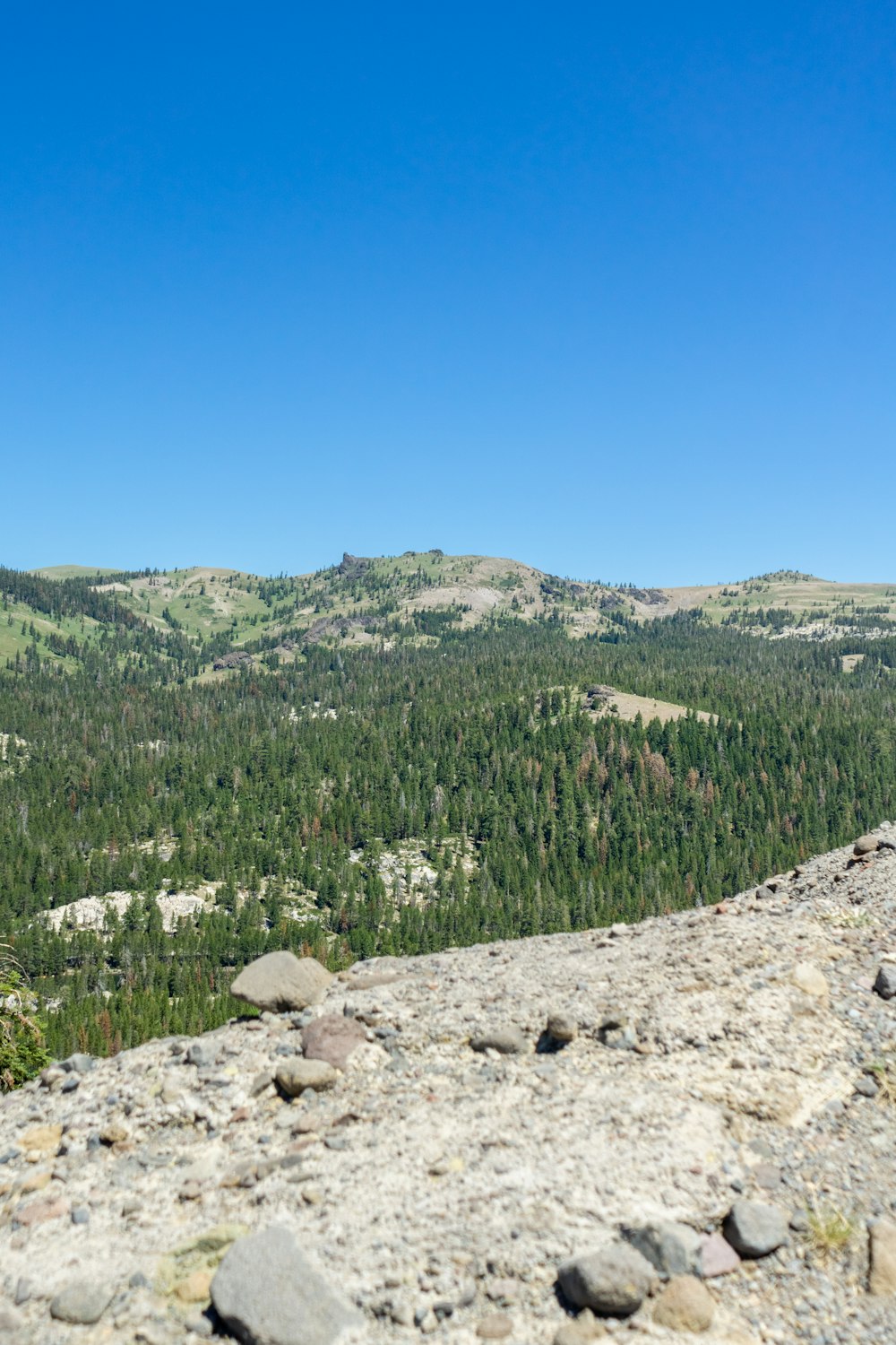 a rocky hillside with trees and a blue sky