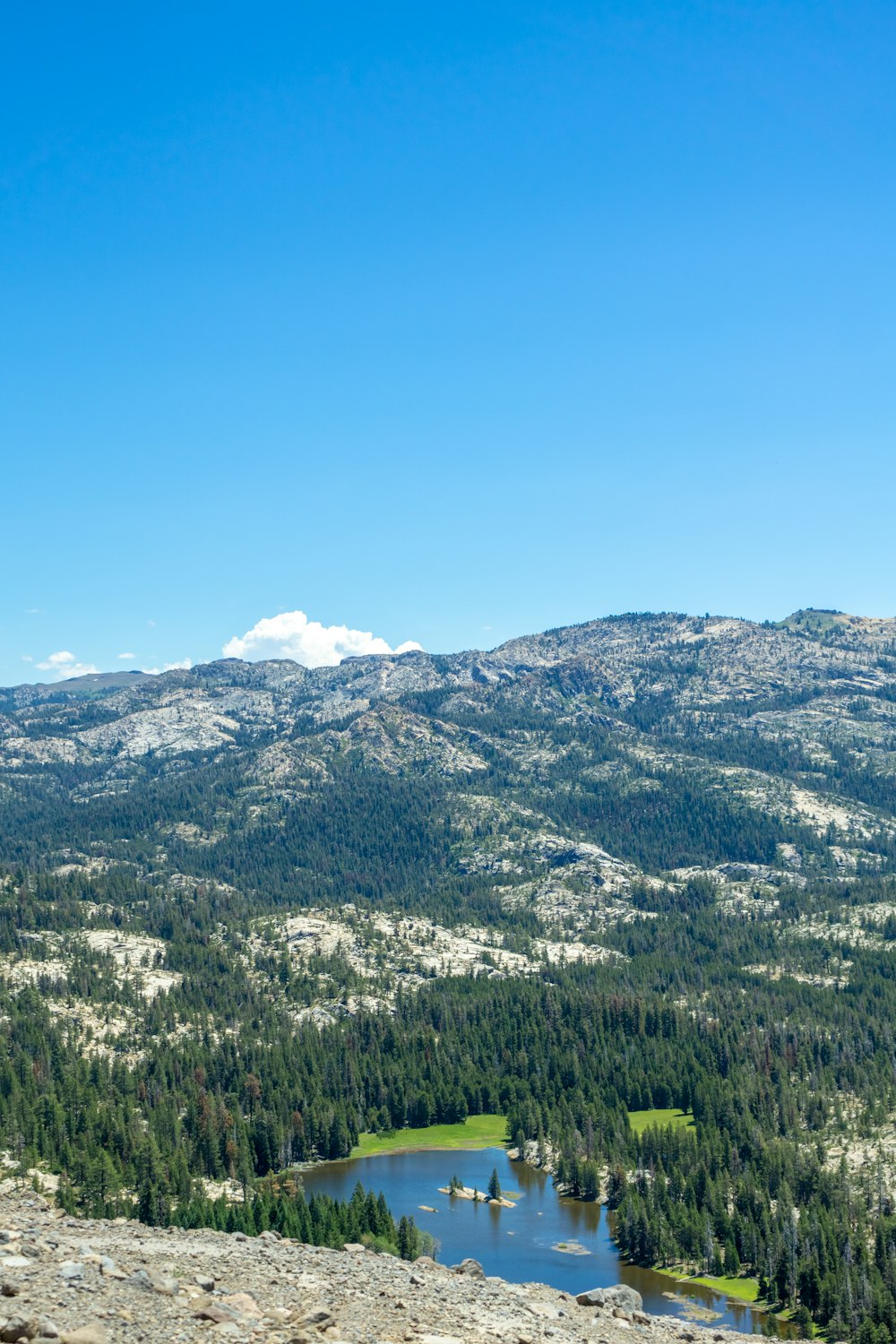 a river running through a valley with trees and mountains in the background