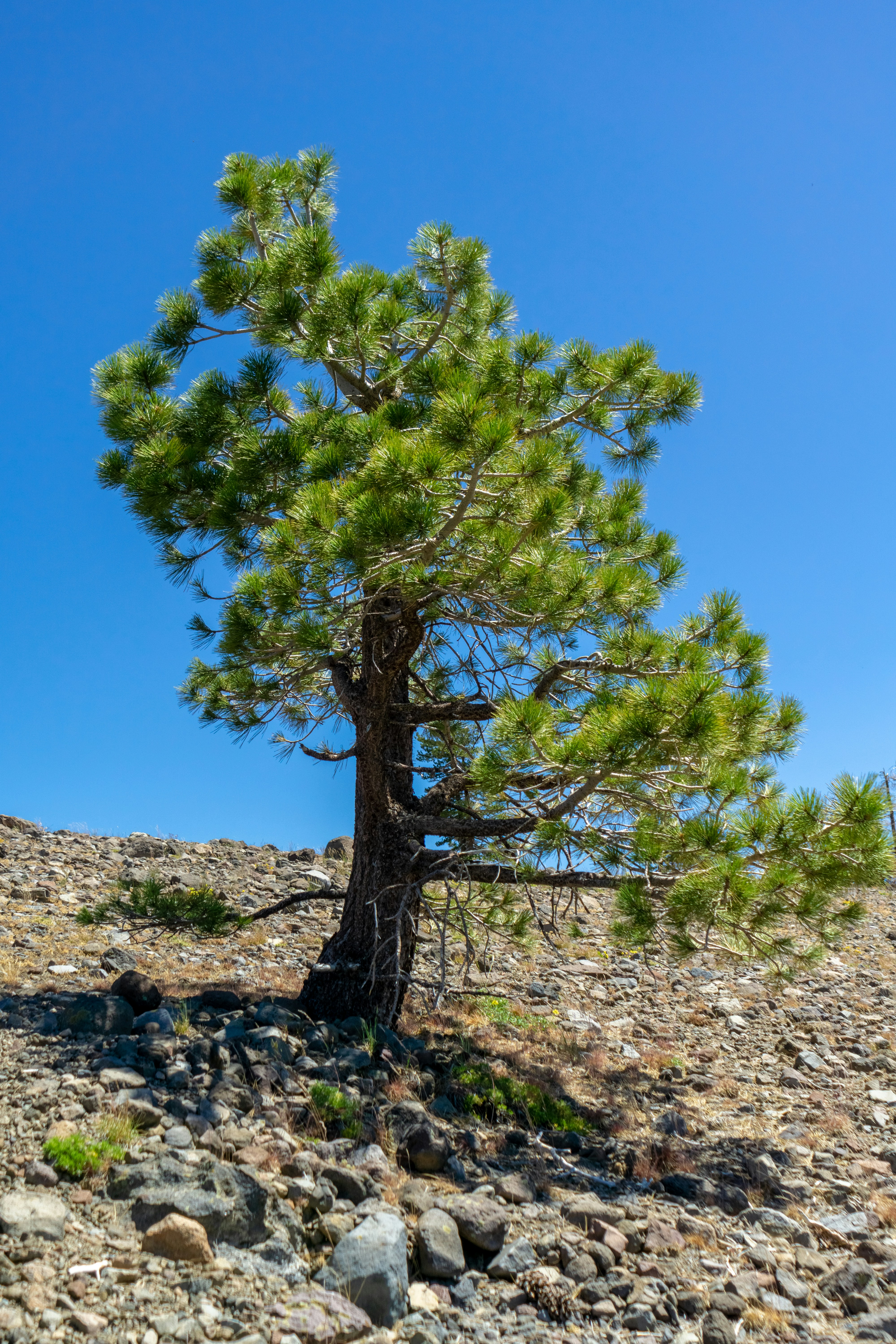 Photo by spencer_demera