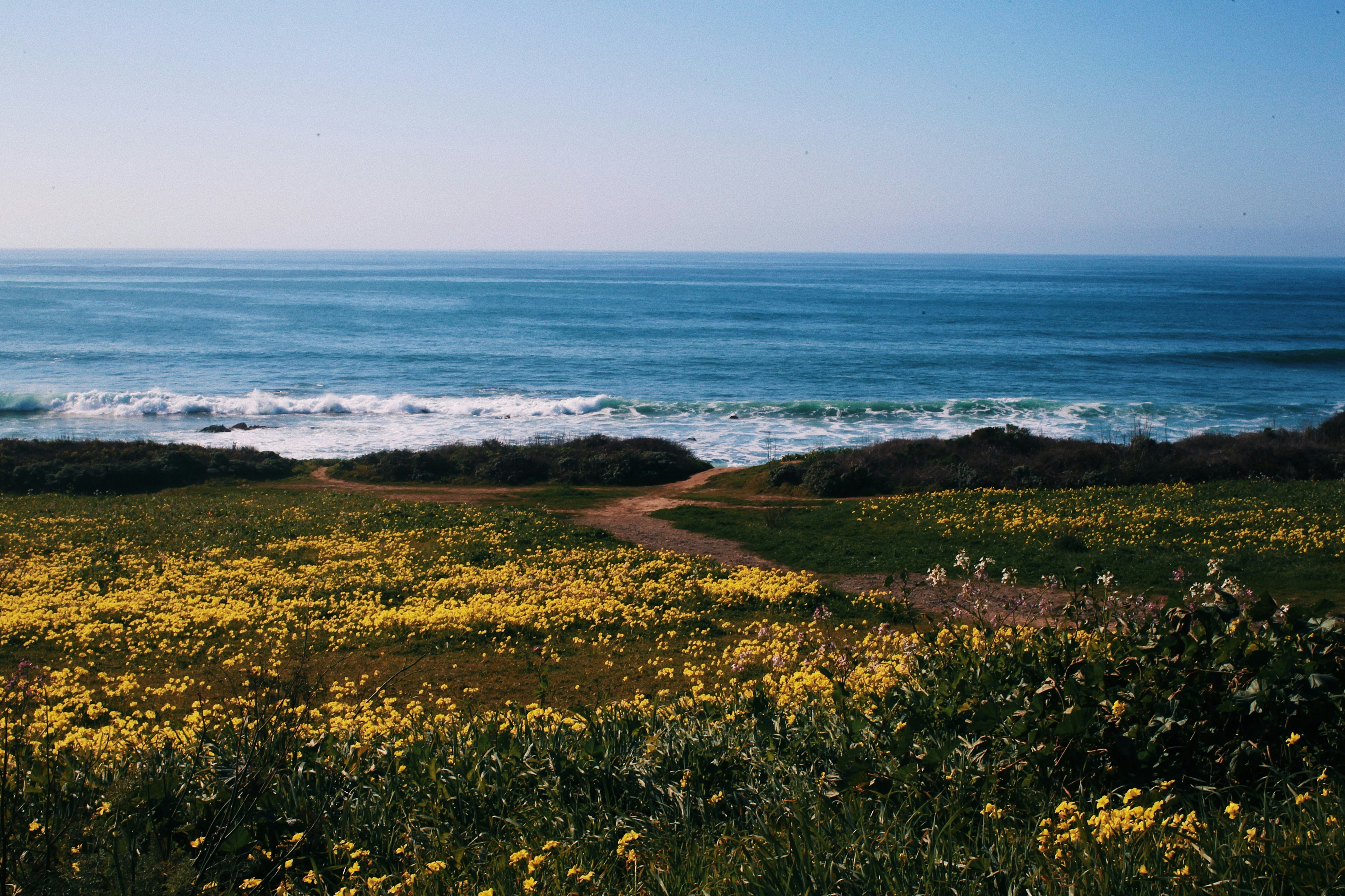 a path leading to a beach