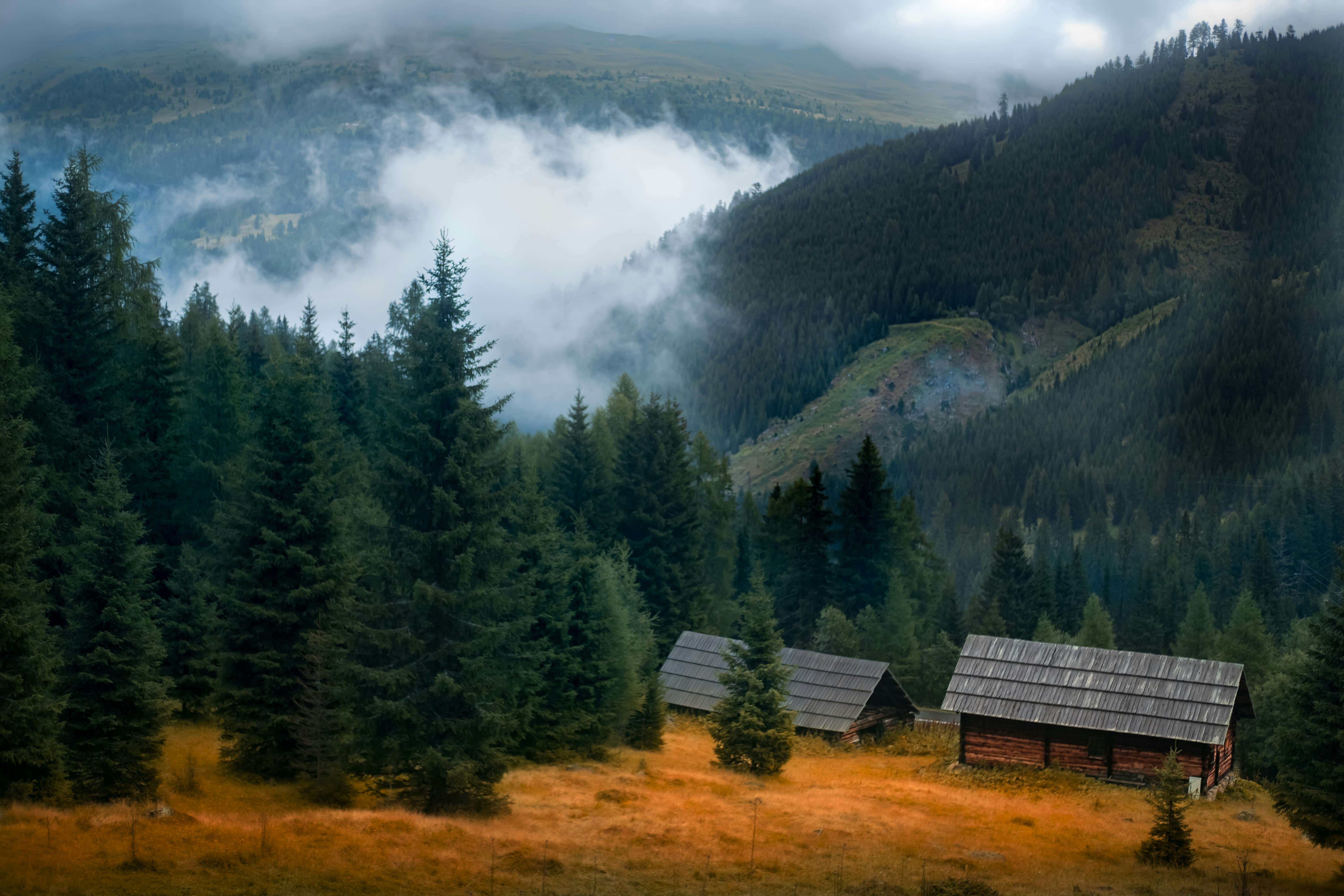 Photo by k_sariwating