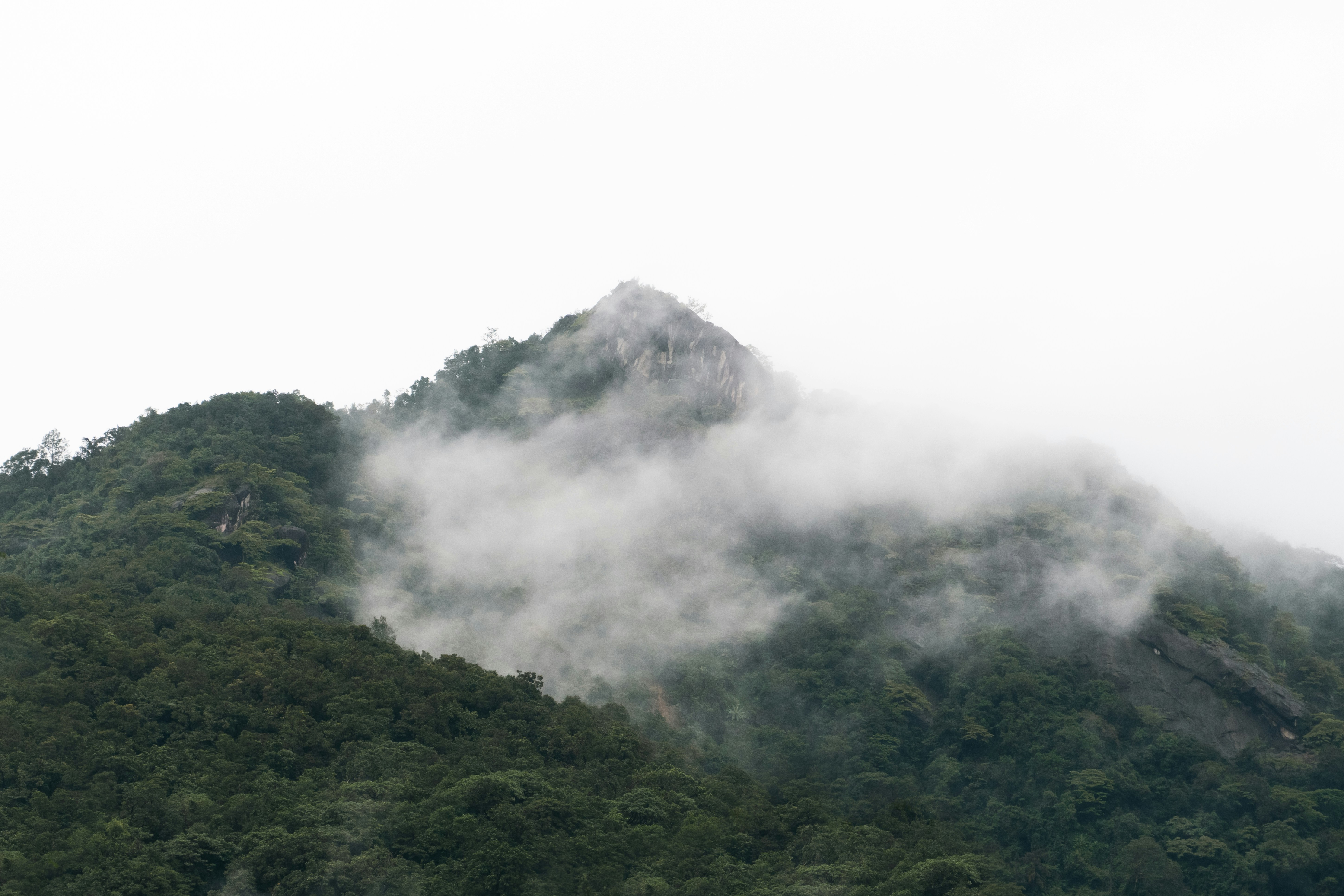 Photo by meemoome_productions