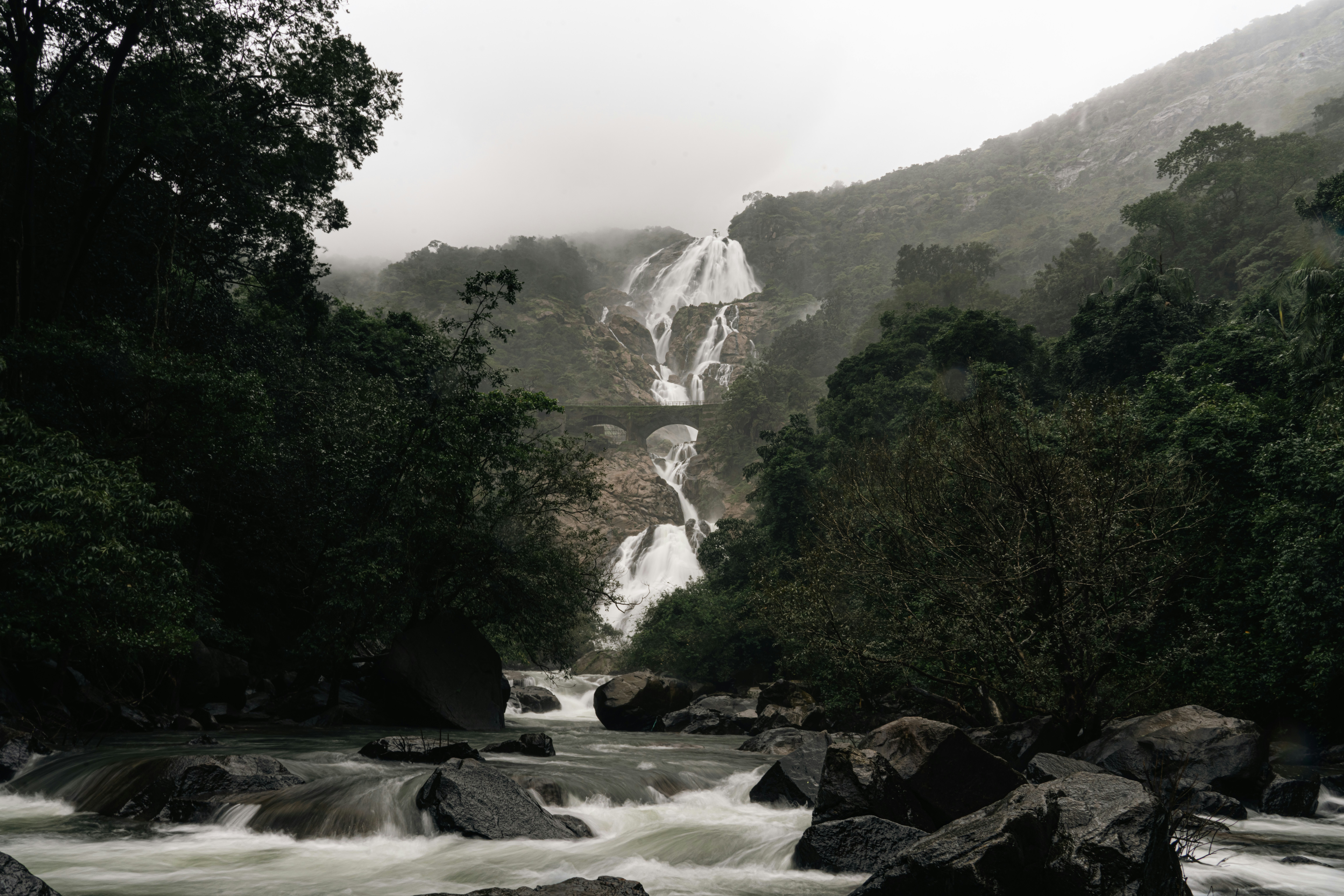 Photo by meemoome_productions