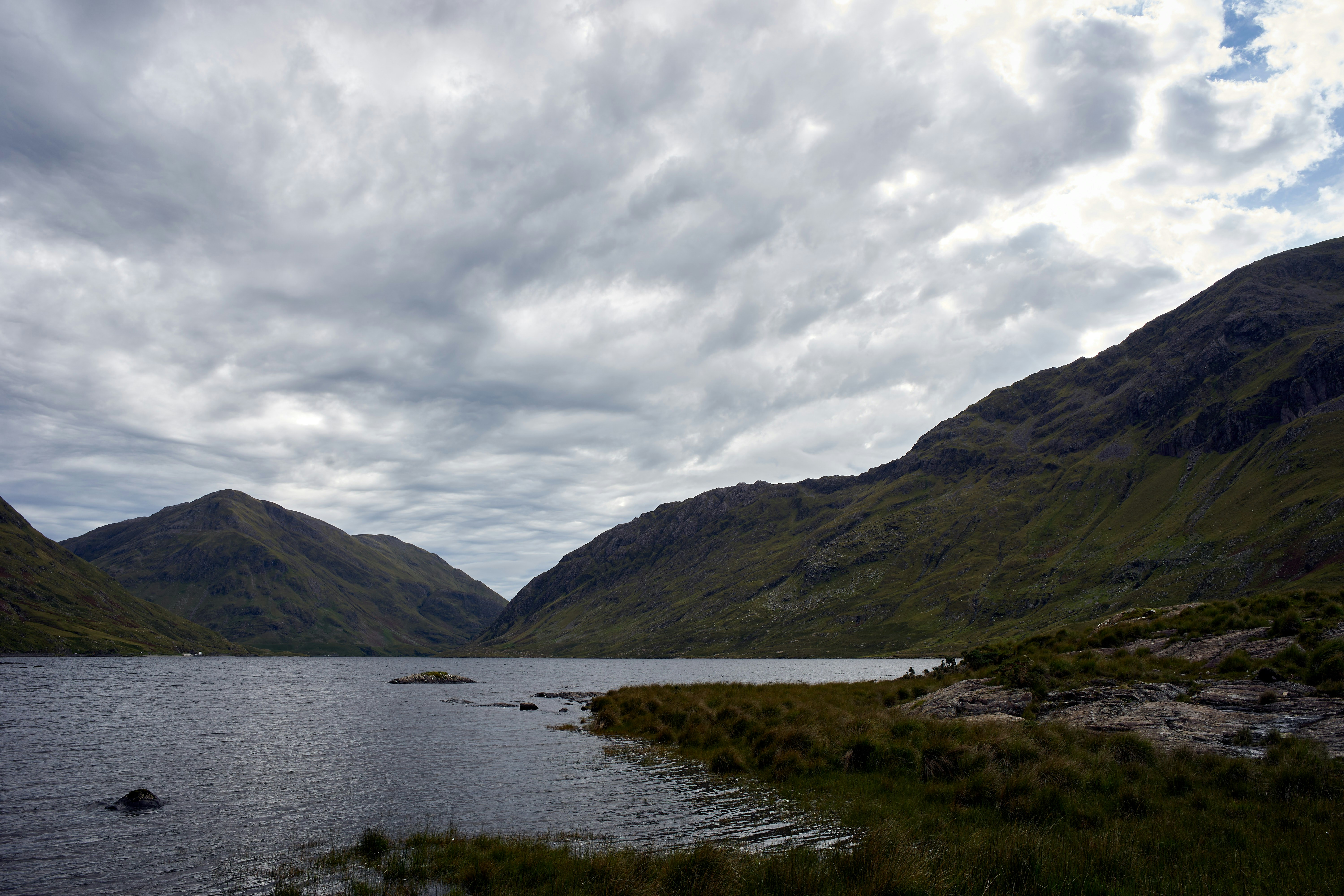 Photo by wolfgang_hasselmann