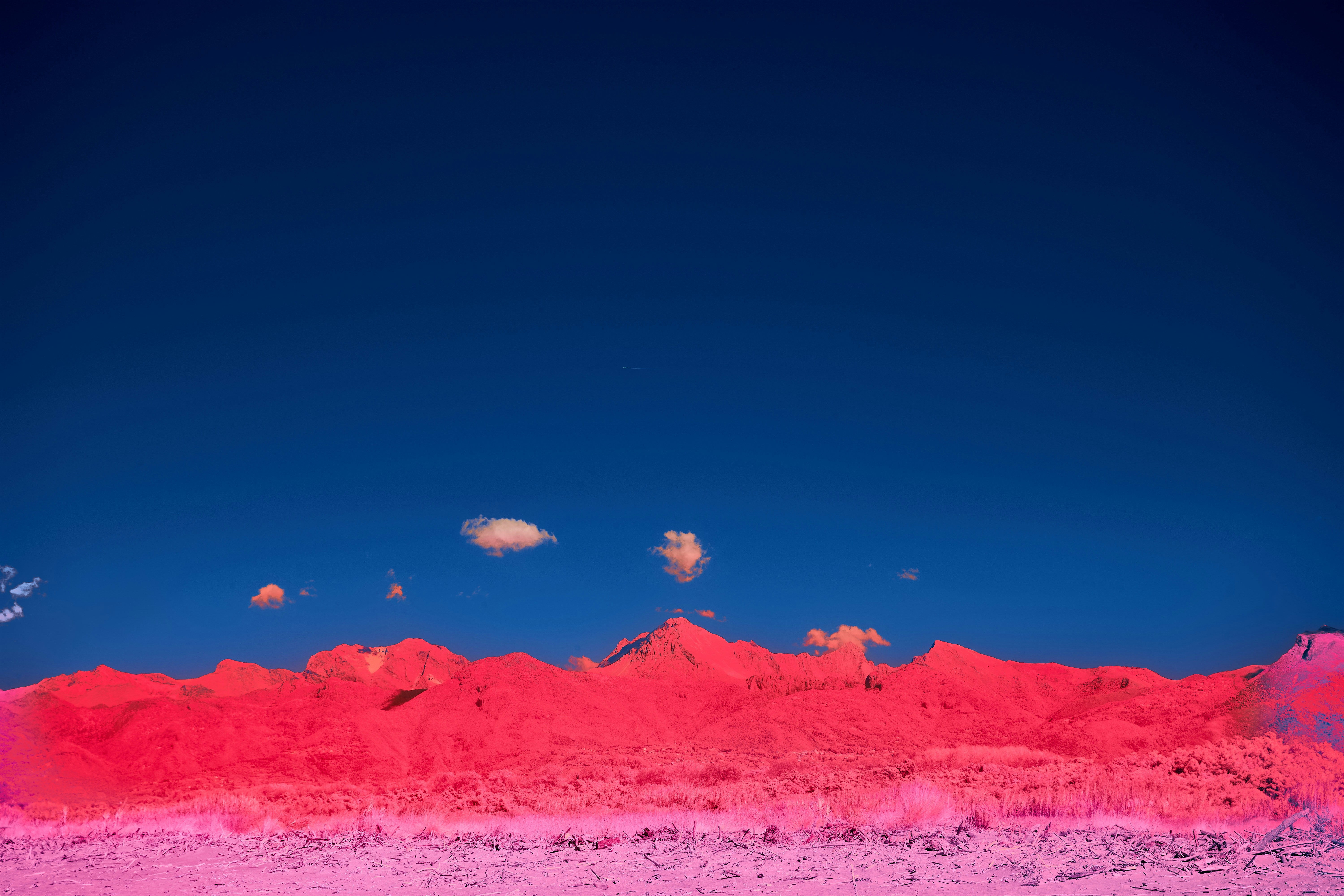 Photo by wolfgang_hasselmann