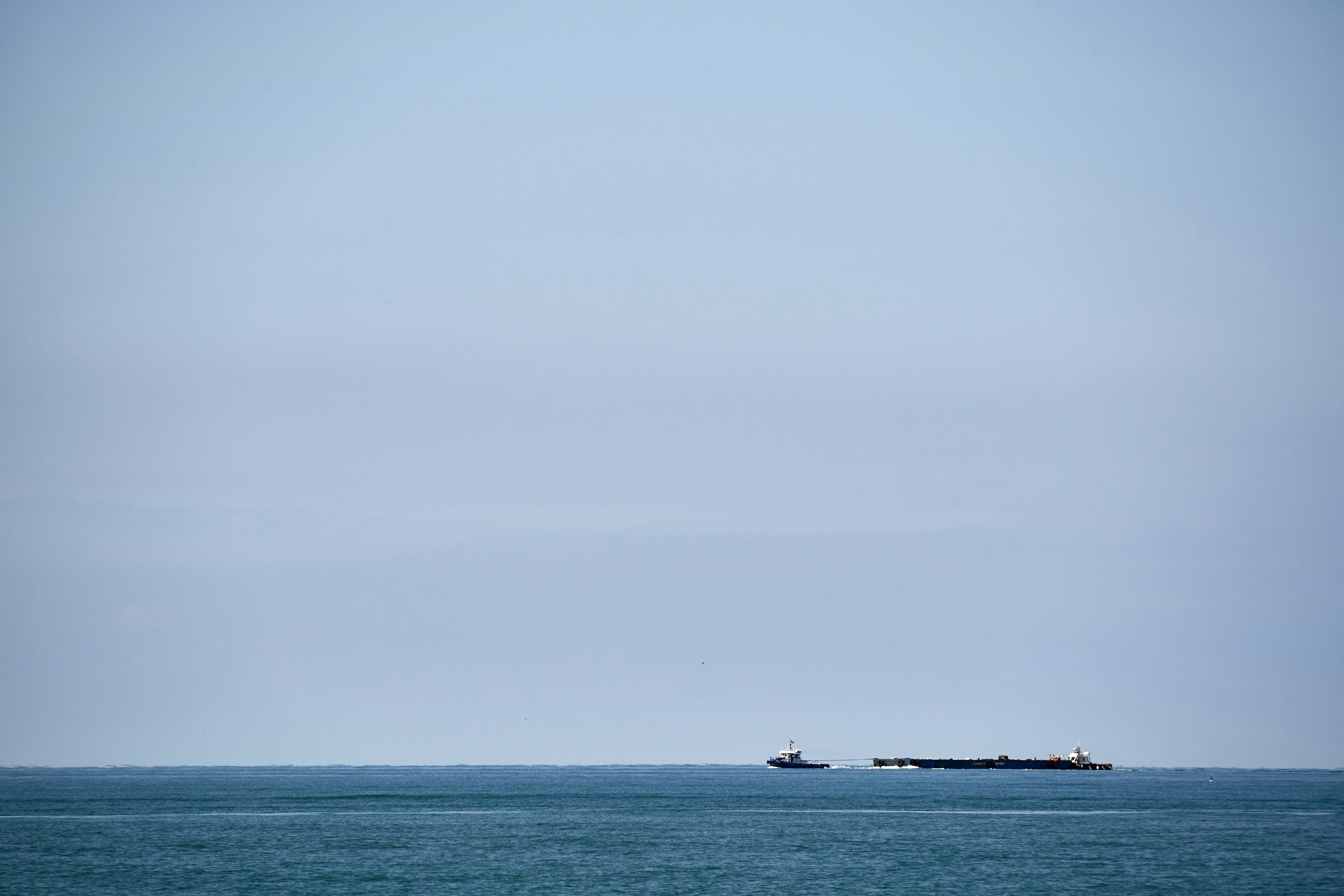 Photo by wolfgang_hasselmann