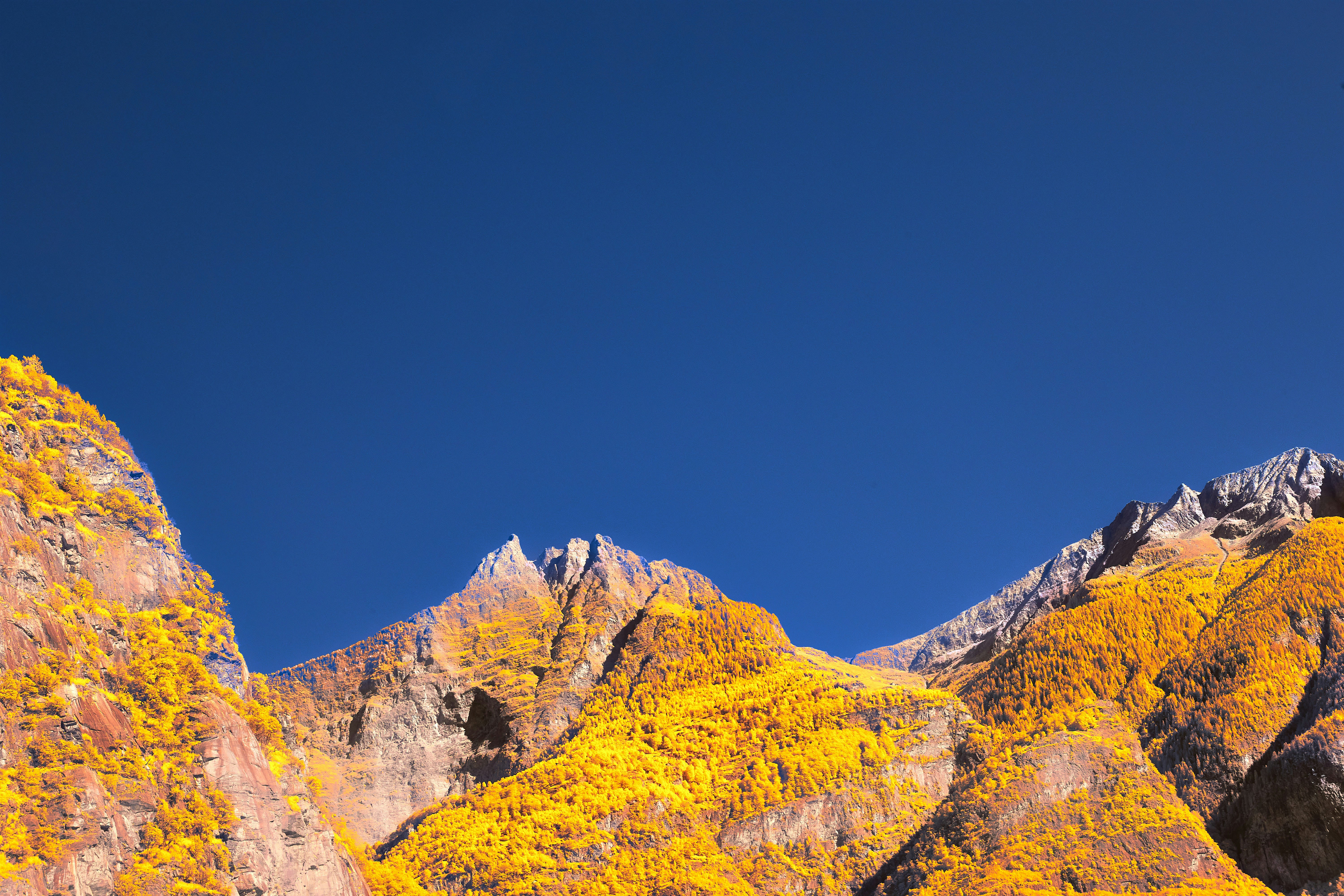 Photo by wolfgang_hasselmann