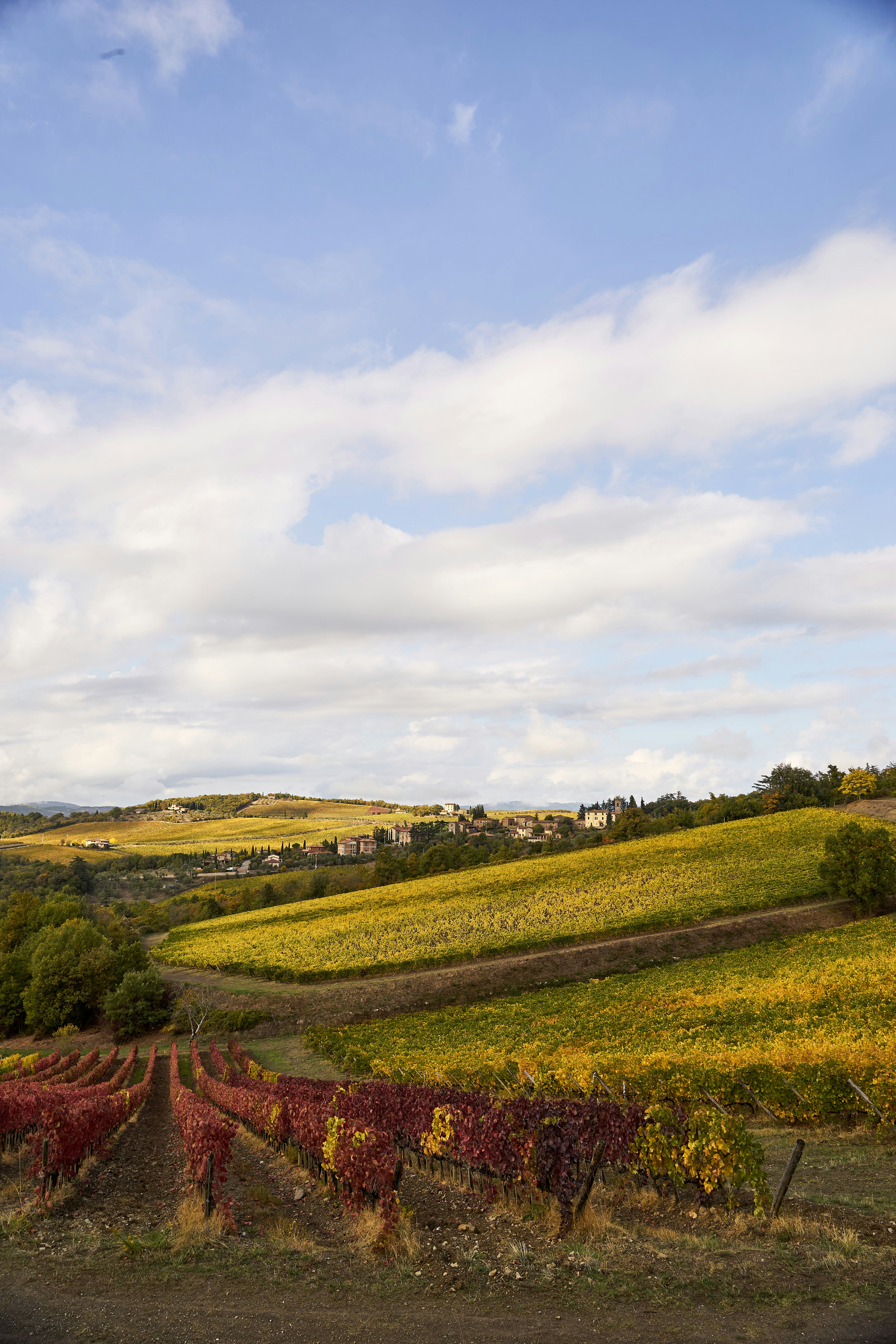 Photo by wolfgang_hasselmann