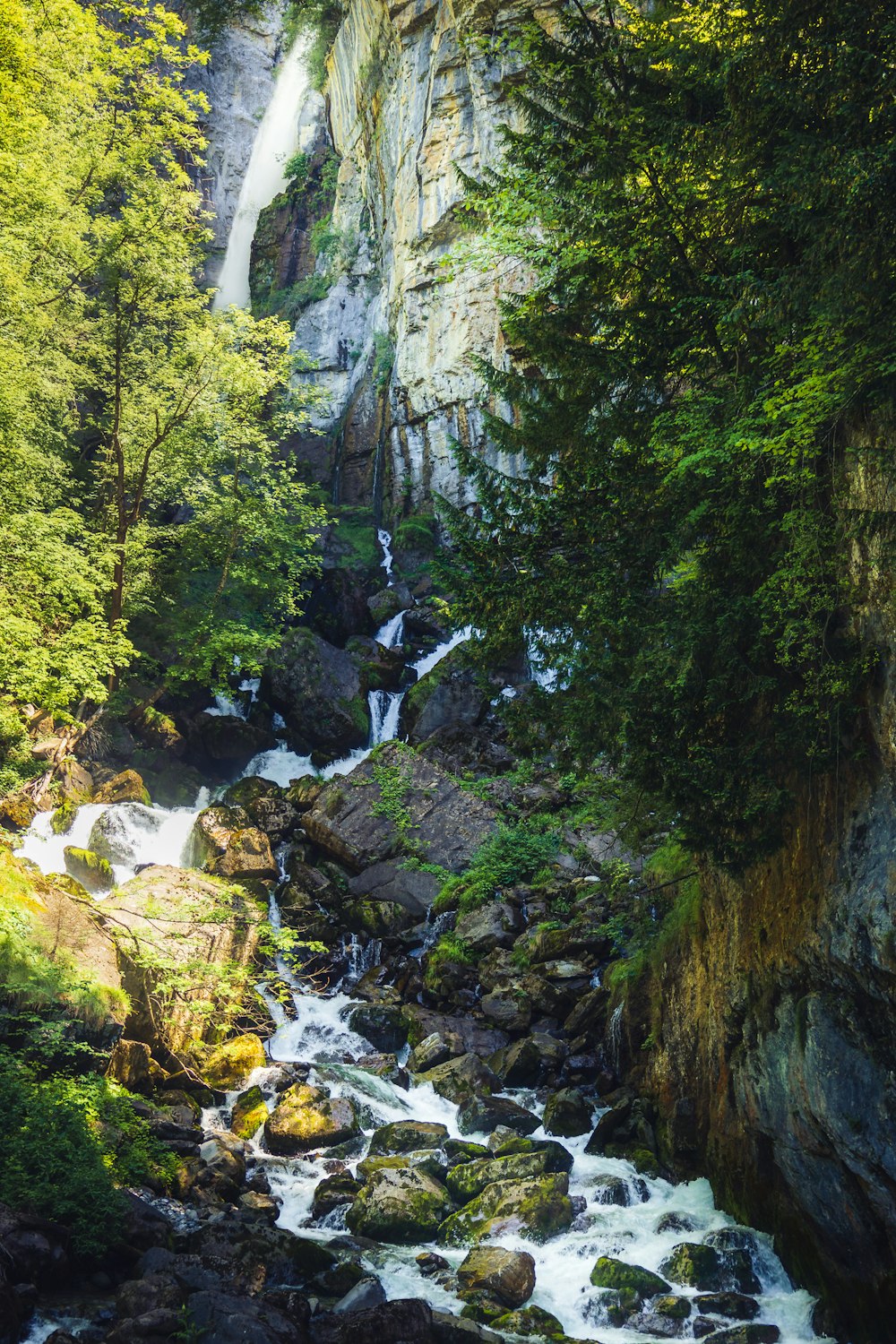 Una cascata in una foresta