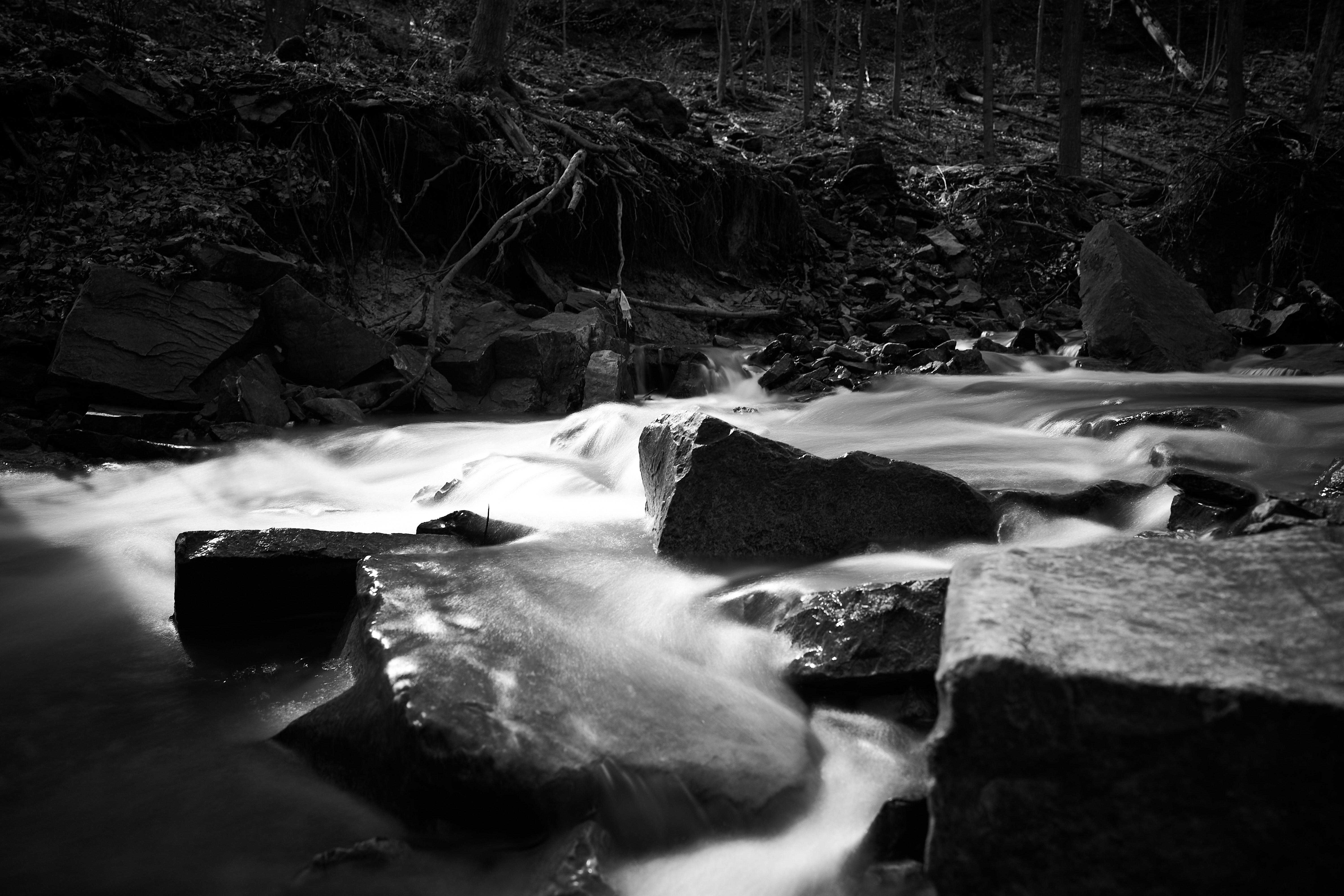 Photo by wolfgang_hasselmann