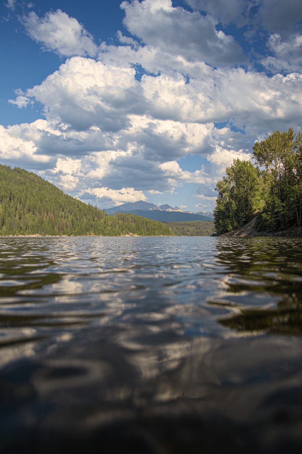 a body of water with trees and hills in the background