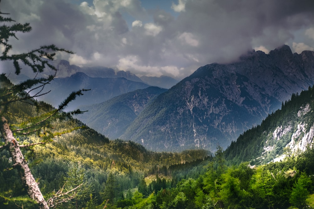 a valley between mountains