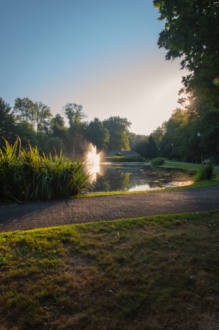 A serene photo of a quiet city park bathed in soft morning light, evoking calm and reflection.