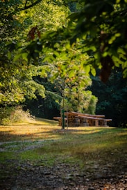 A serene park scene with a picnic area surrounded by lush green trees. The leaves create a dappled light effect on the ground, casting inviting shadows. A stone and wood picnic table sits on a grassy patch, providing a peaceful spot for relaxation or gatherings.