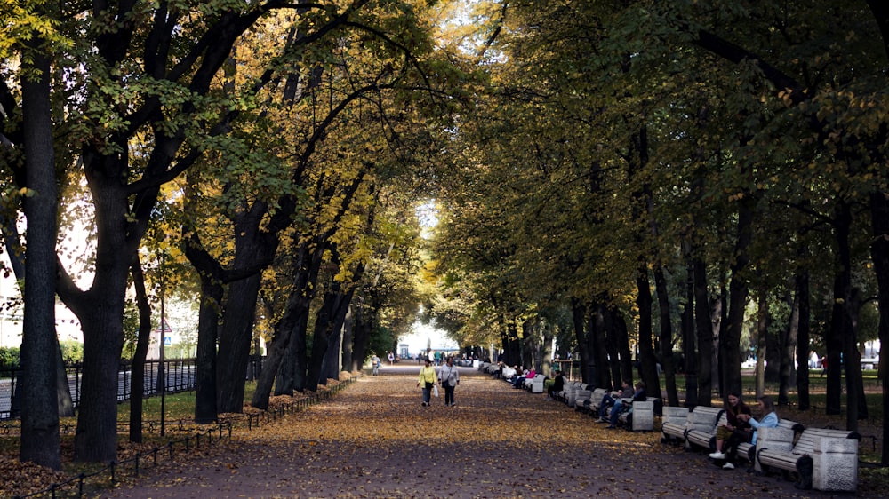 a group of people sitting on benches in a park