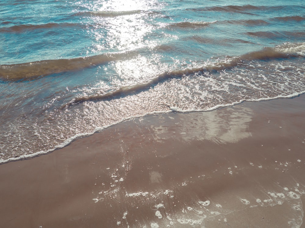 a beach with a body of water