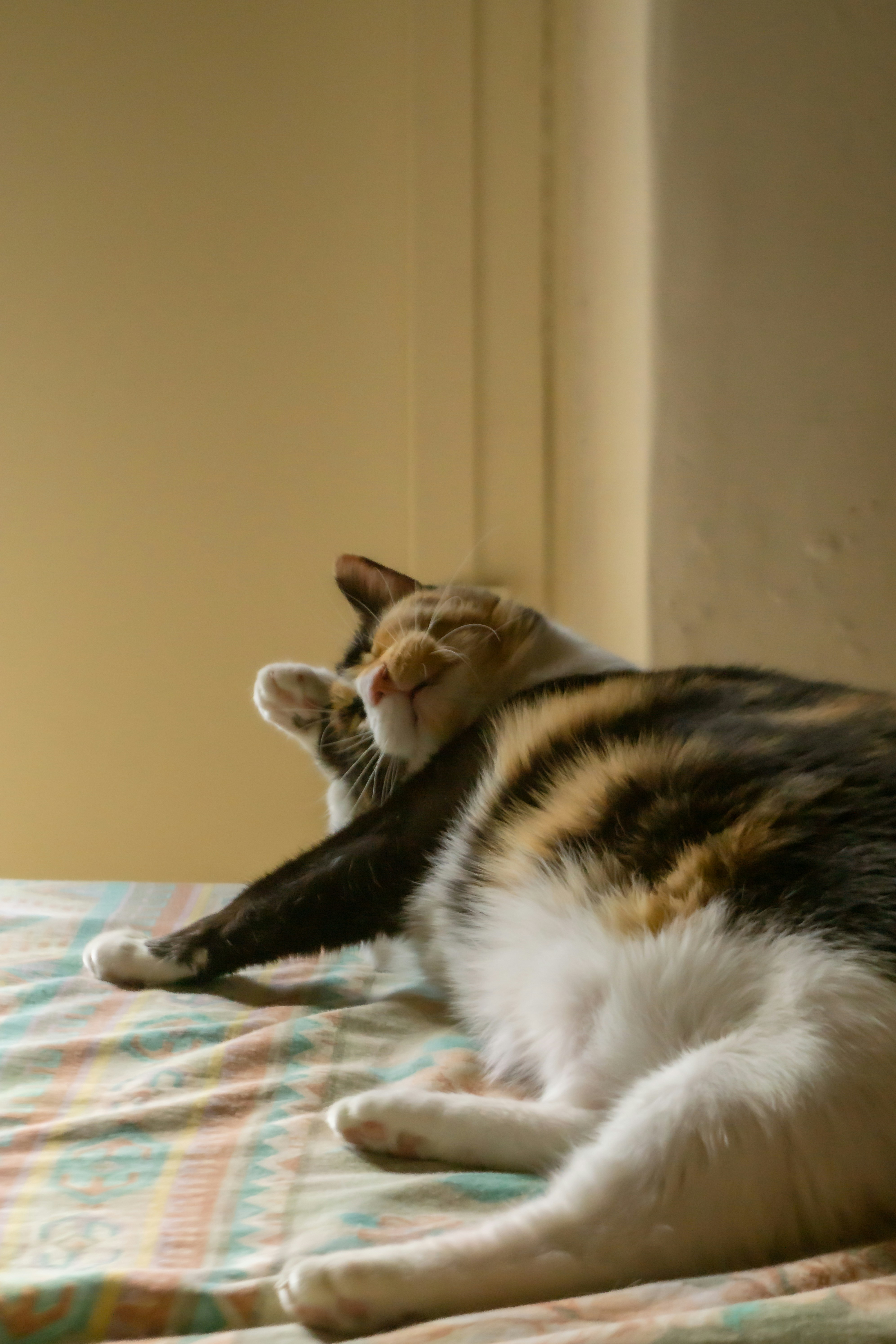 Photo by serenaclerio