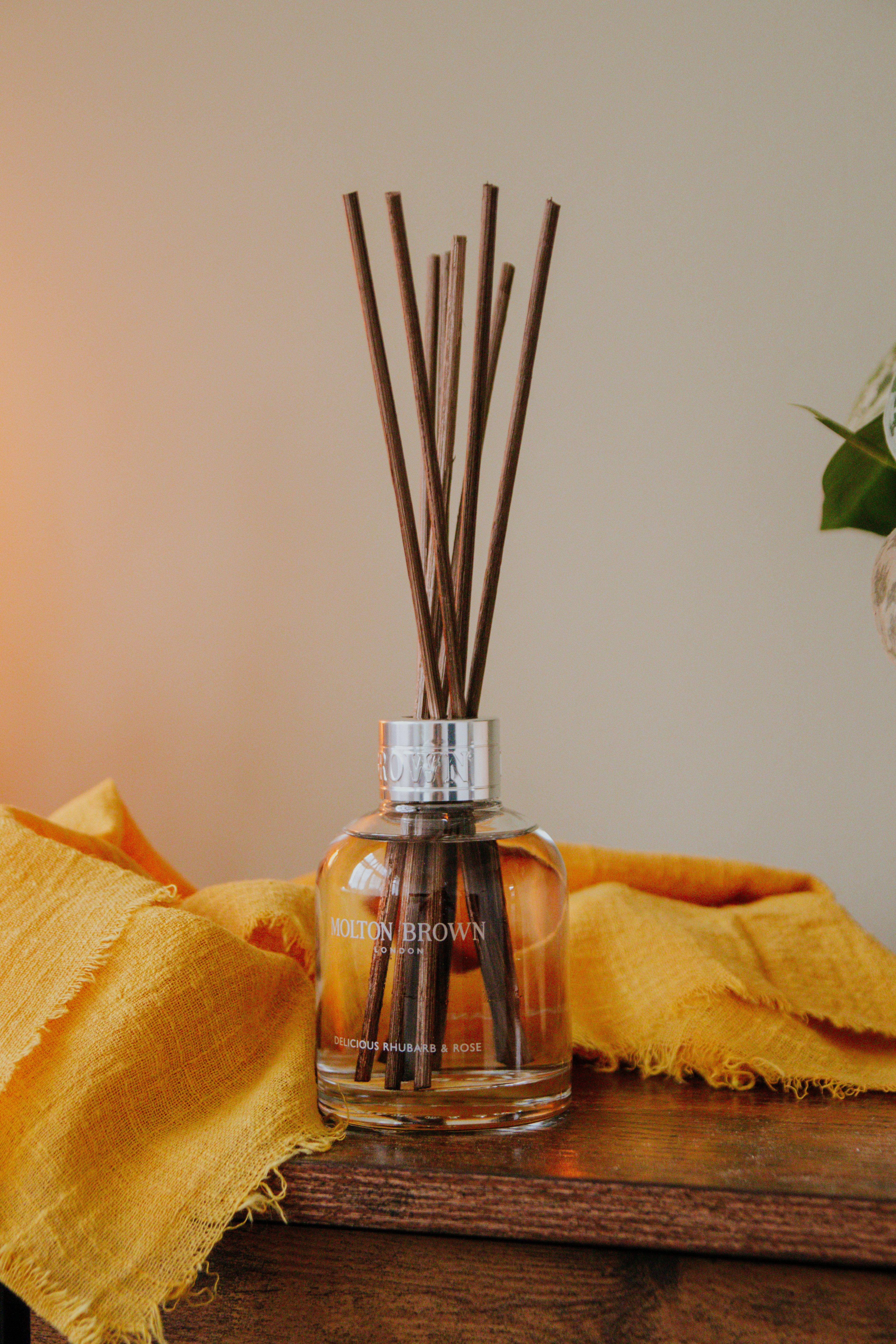 Photo by lanathegraves