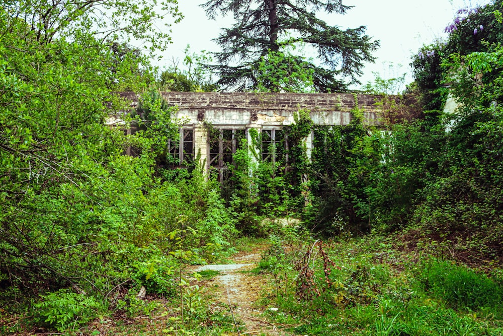 a building surrounded by trees