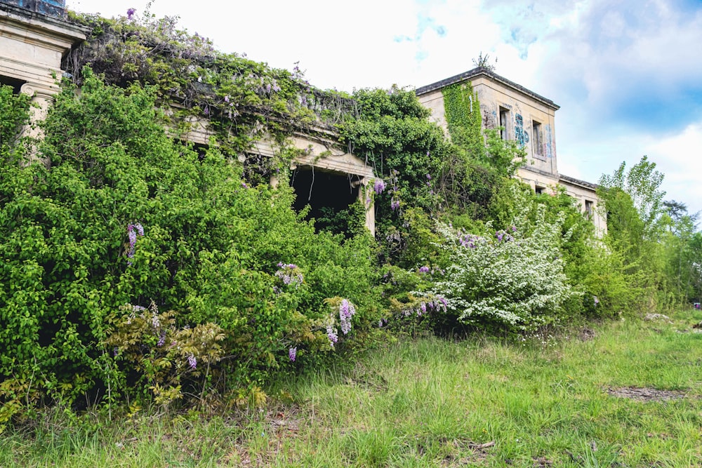 a house with trees and bushes around it with Hill Top, Cumbria in the background