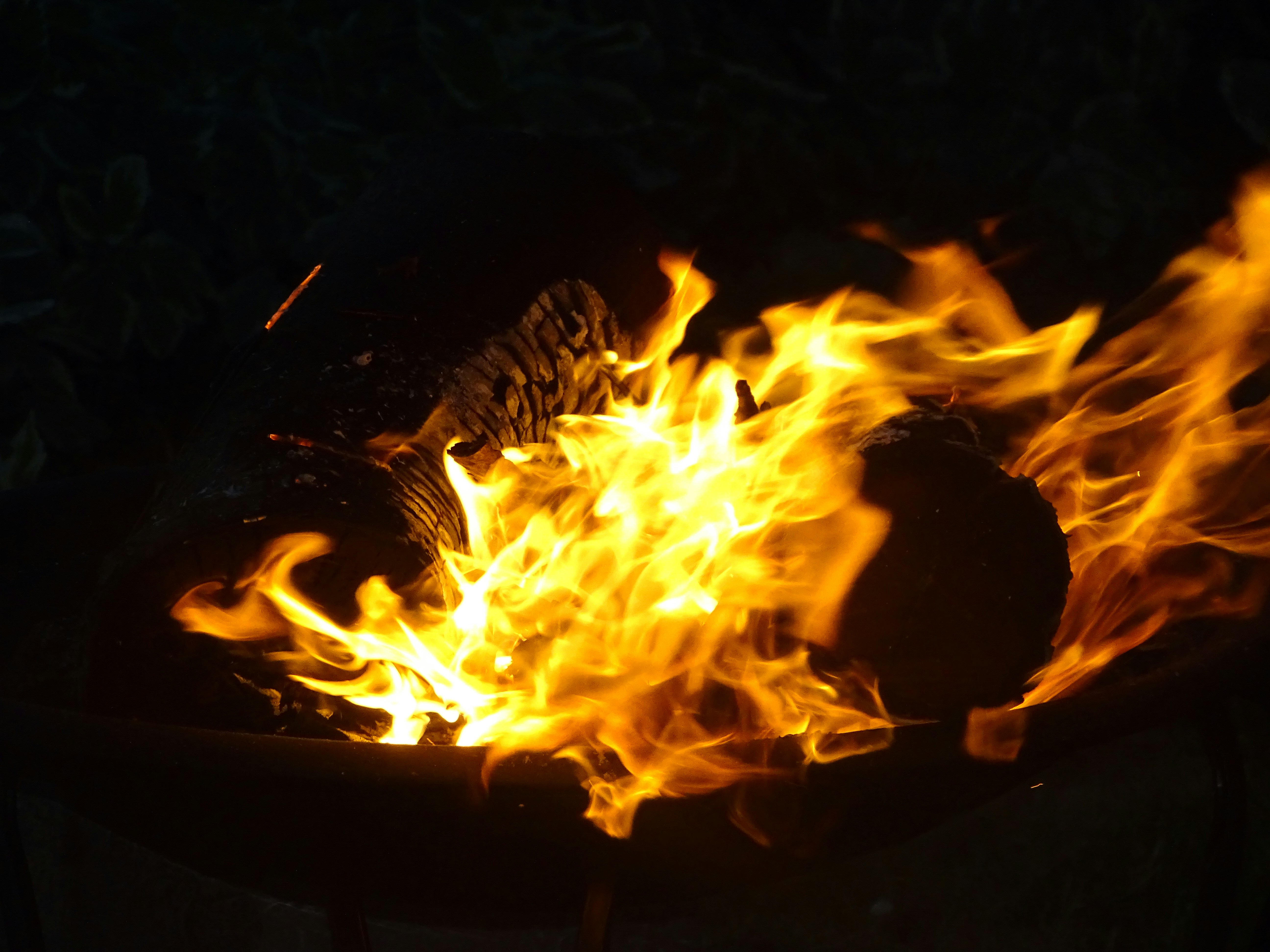 A fire burning in a pit photo – Free Fire Image on Unsplash