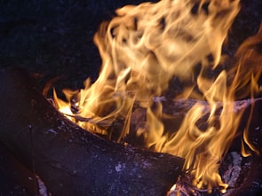 Large orange and yellow flames engulf pieces of dark, charred wood, creating dynamic patterns and intense illumination against a dark background.